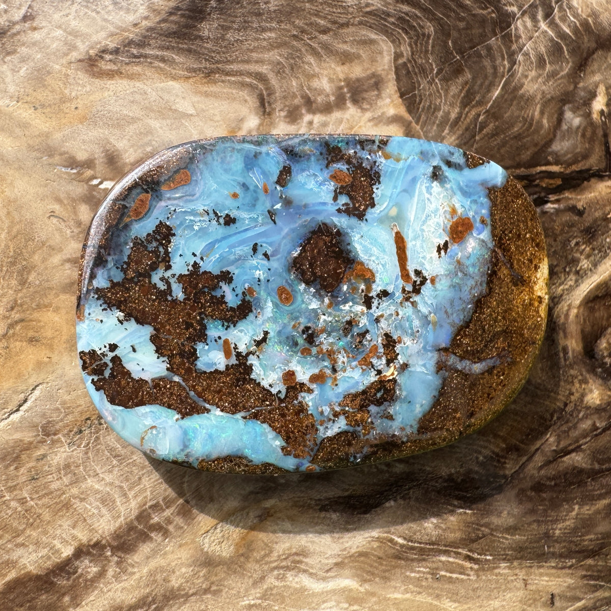 113ct Queensland Boulder Opal | Solid Australian Opal | Hand-Cut