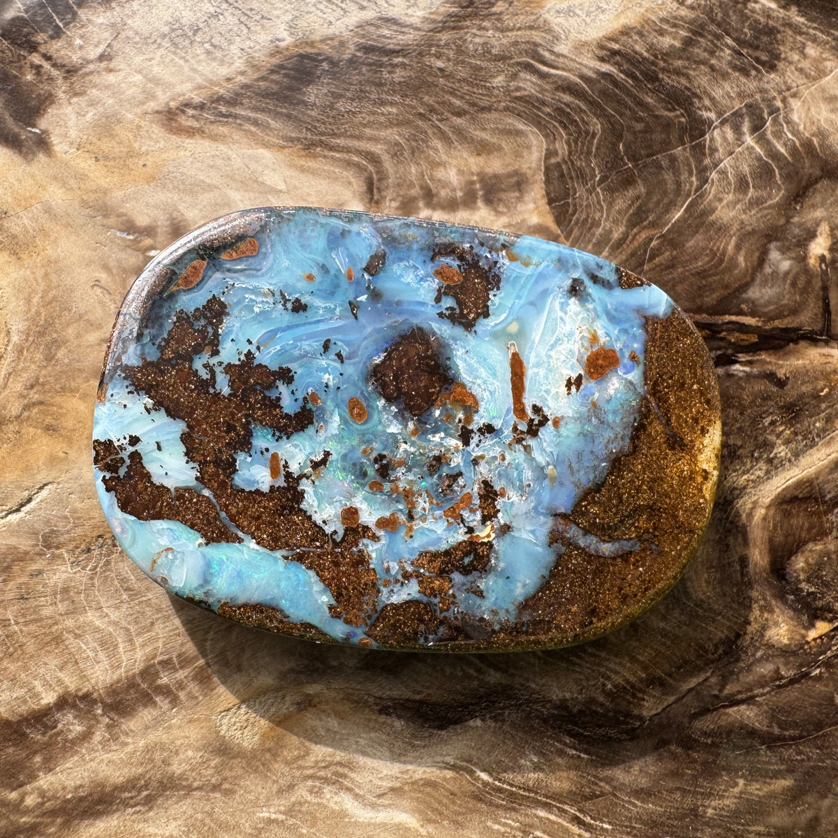 113ct Queensland Boulder Opal | Solid Australian Opal | Hand-Cut
