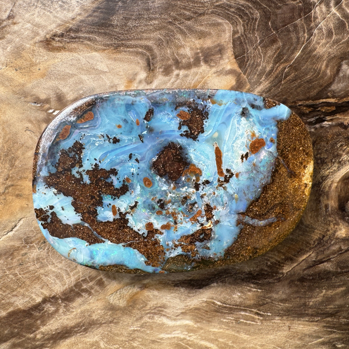 113ct Queensland Boulder Opal | Solid Australian Opal | Hand-Cut