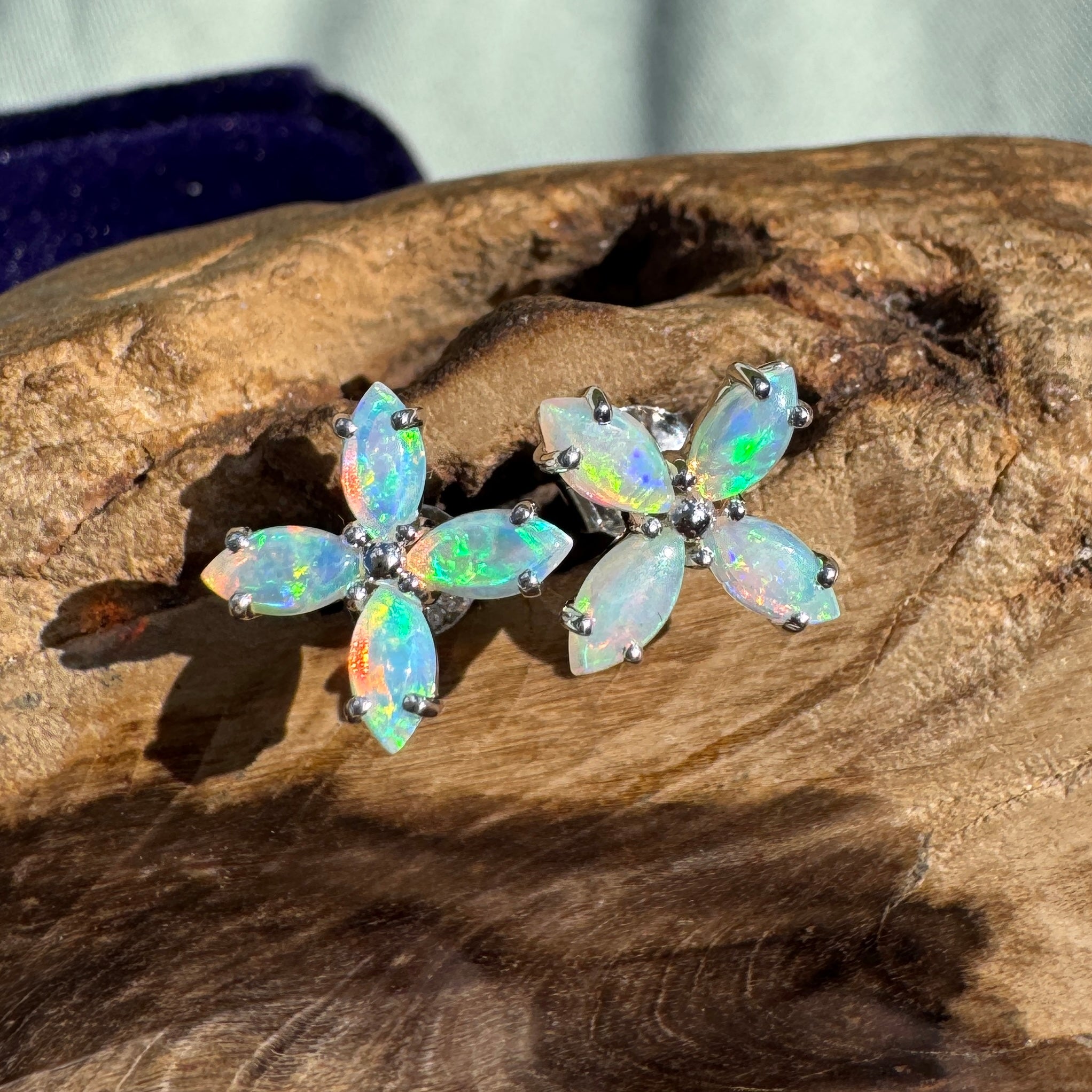 1.6ct Lightning Ridge Opal Stud Earrings ~ 'Port Stephens Shimmer' | 925 Sterling Silver | Solid Australian Opal