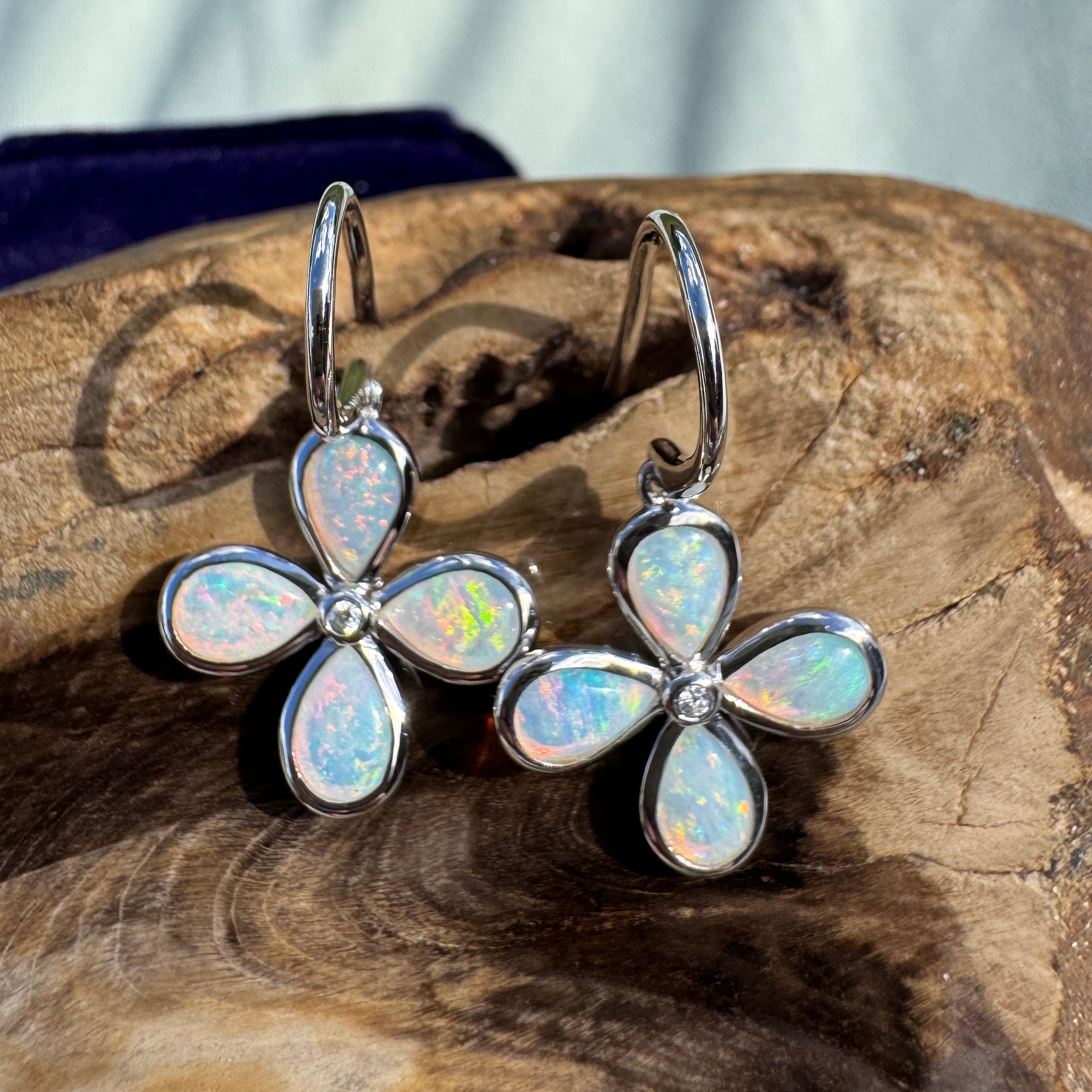 4ct Lightning Ridge Opal Hook Earrings ~ 'Agnes Water Dance' | 925 Sterling Silver | Solid Australian Opal