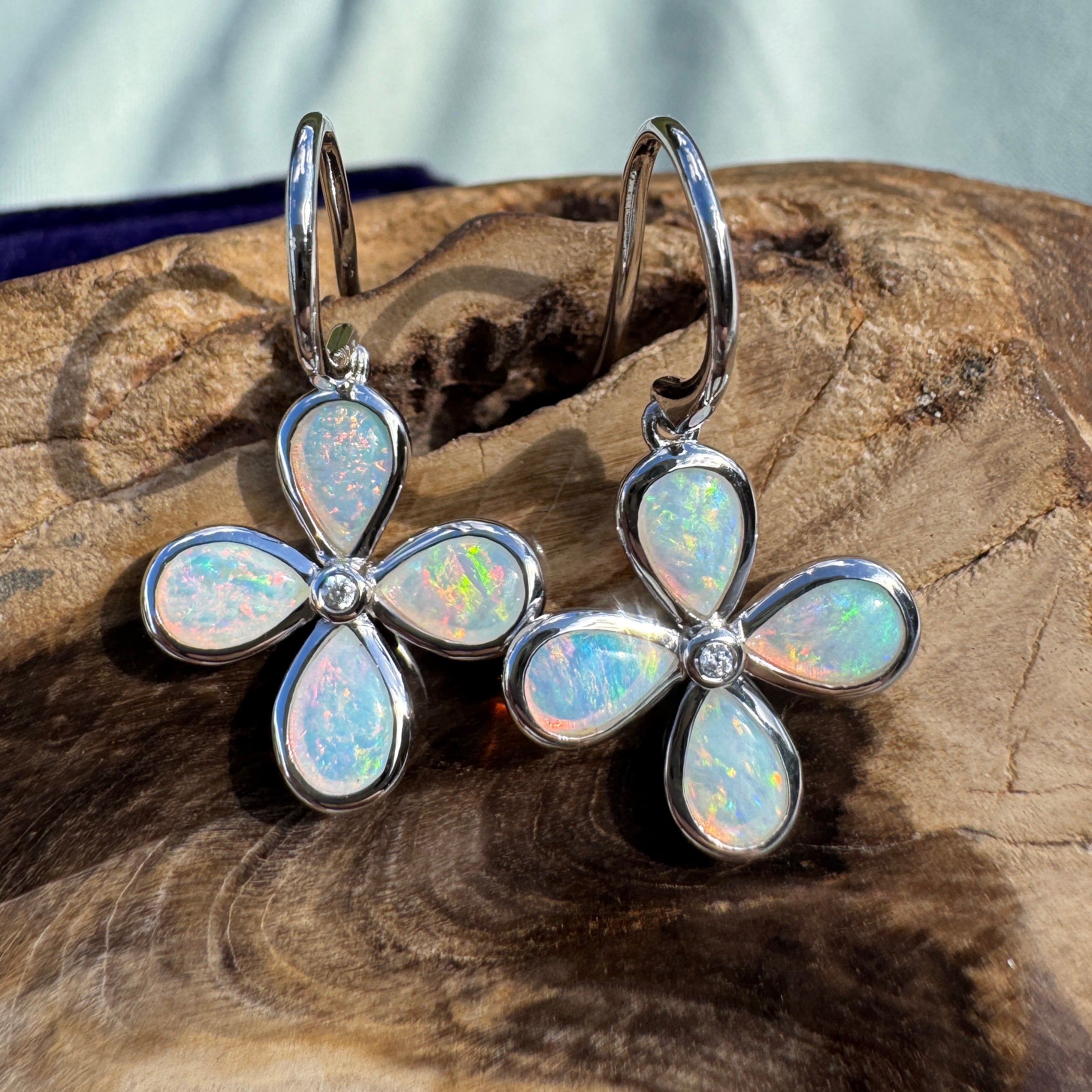 4ct Lightning Ridge Opal Hook Earrings ~ 'Agnes Water Dance' | 925 Sterling Silver | Solid Australian Opal