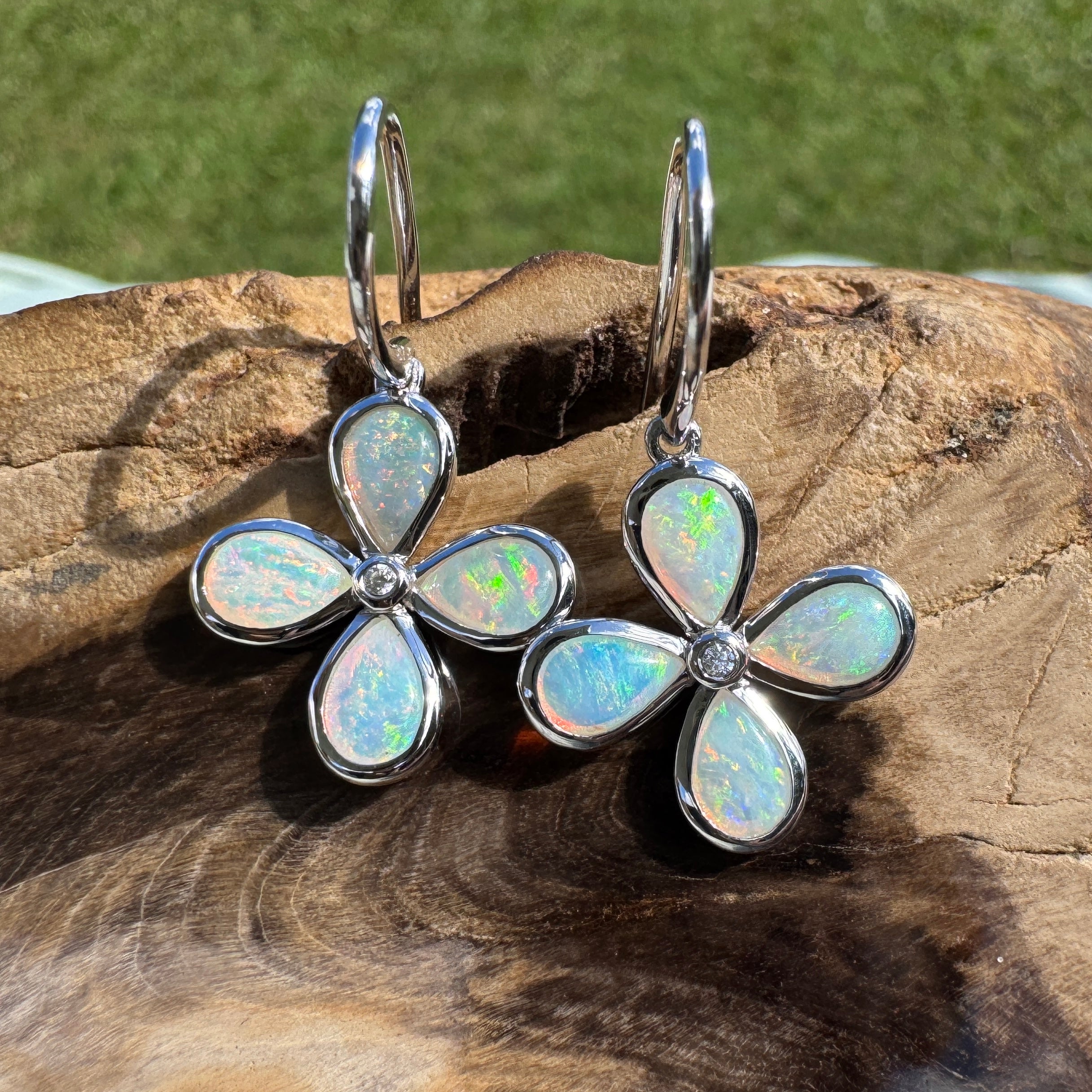 4ct Lightning Ridge Opal Hook Earrings ~ 'Agnes Water Dance' | 925 Sterling Silver | Solid Australian Opal