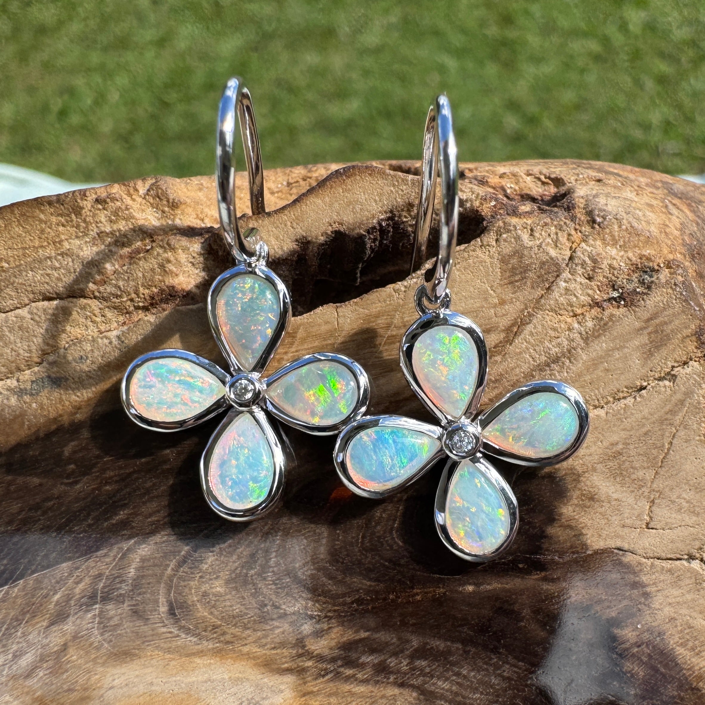 4ct Lightning Ridge Opal Hook Earrings ~ 'Agnes Water Dance' | 925 Sterling Silver | Solid Australian Opal