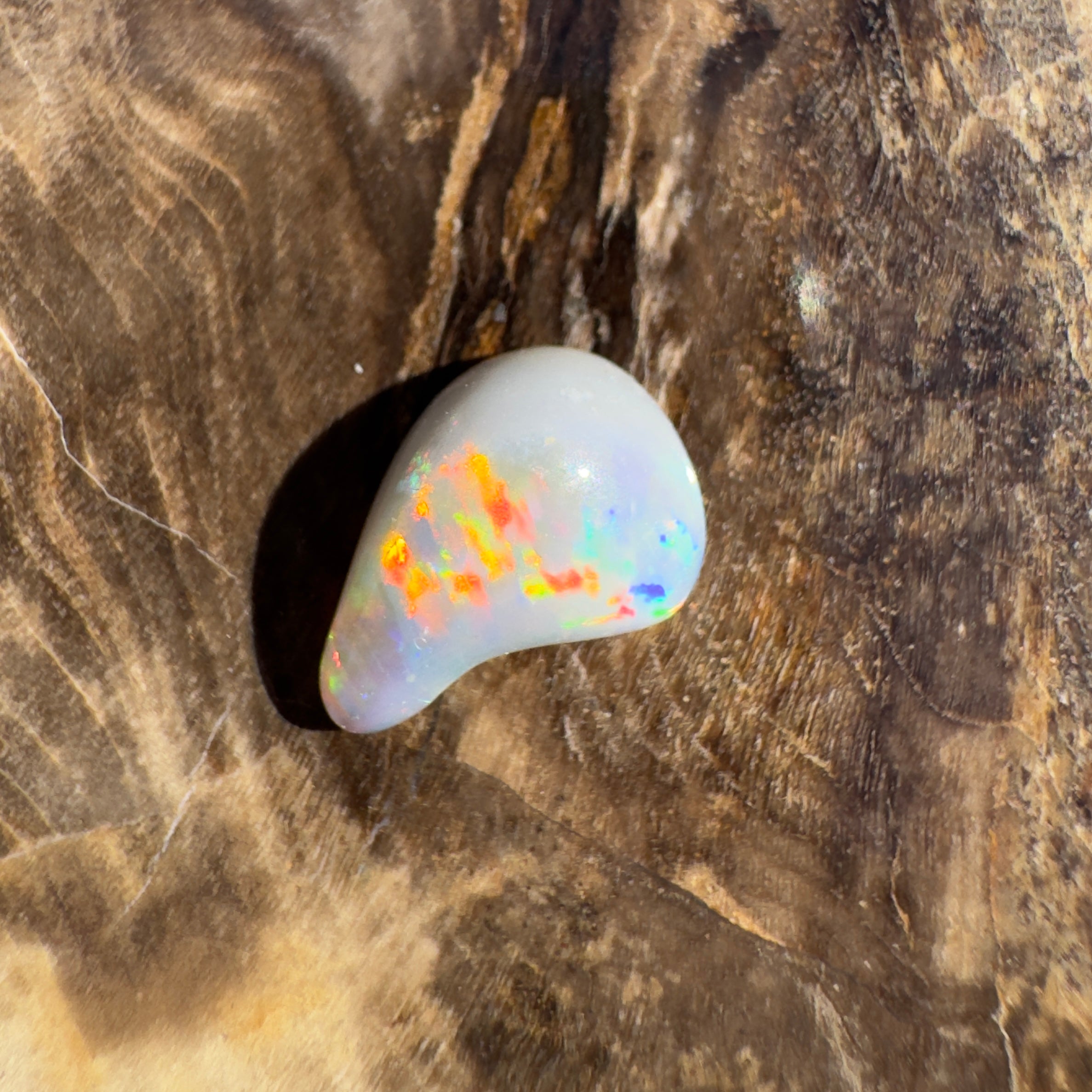 0.7ct Lightning Ridge Semi Black Opal | Solid Australian Opal