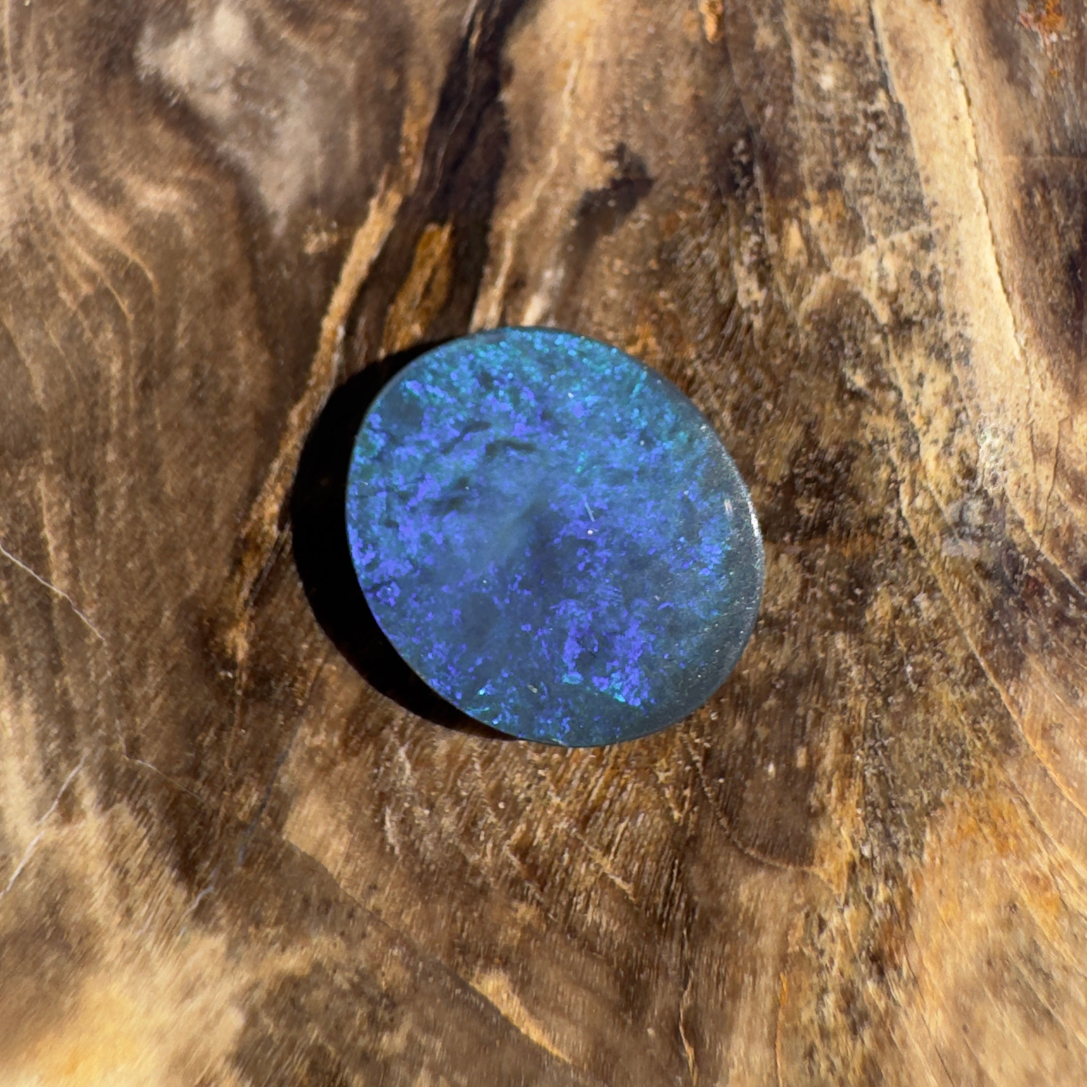 1.5ct Lightning Ridge Black Opal | Solid Australian Opal