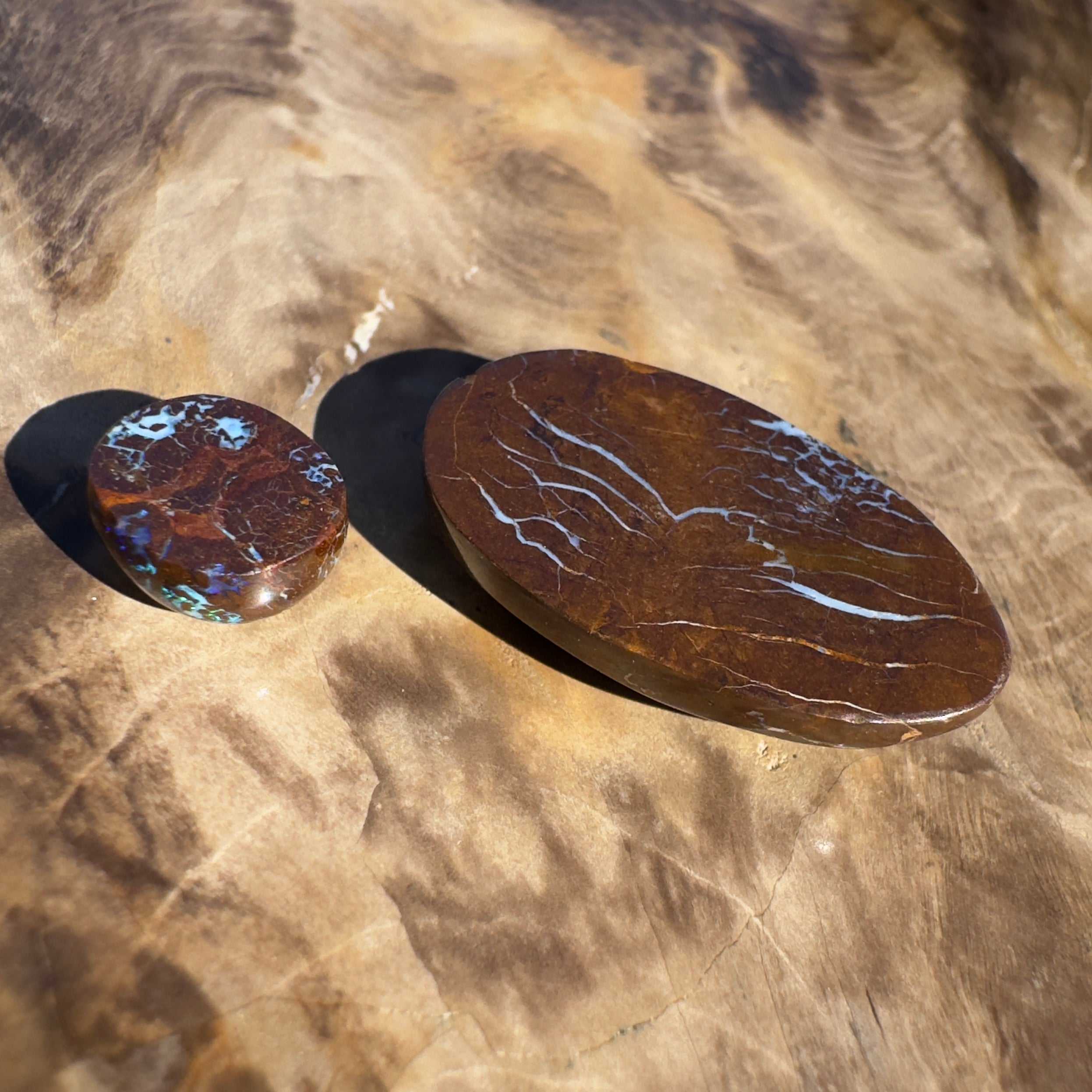 16ct Queensland Boulder Opal | Solid Australian Opal