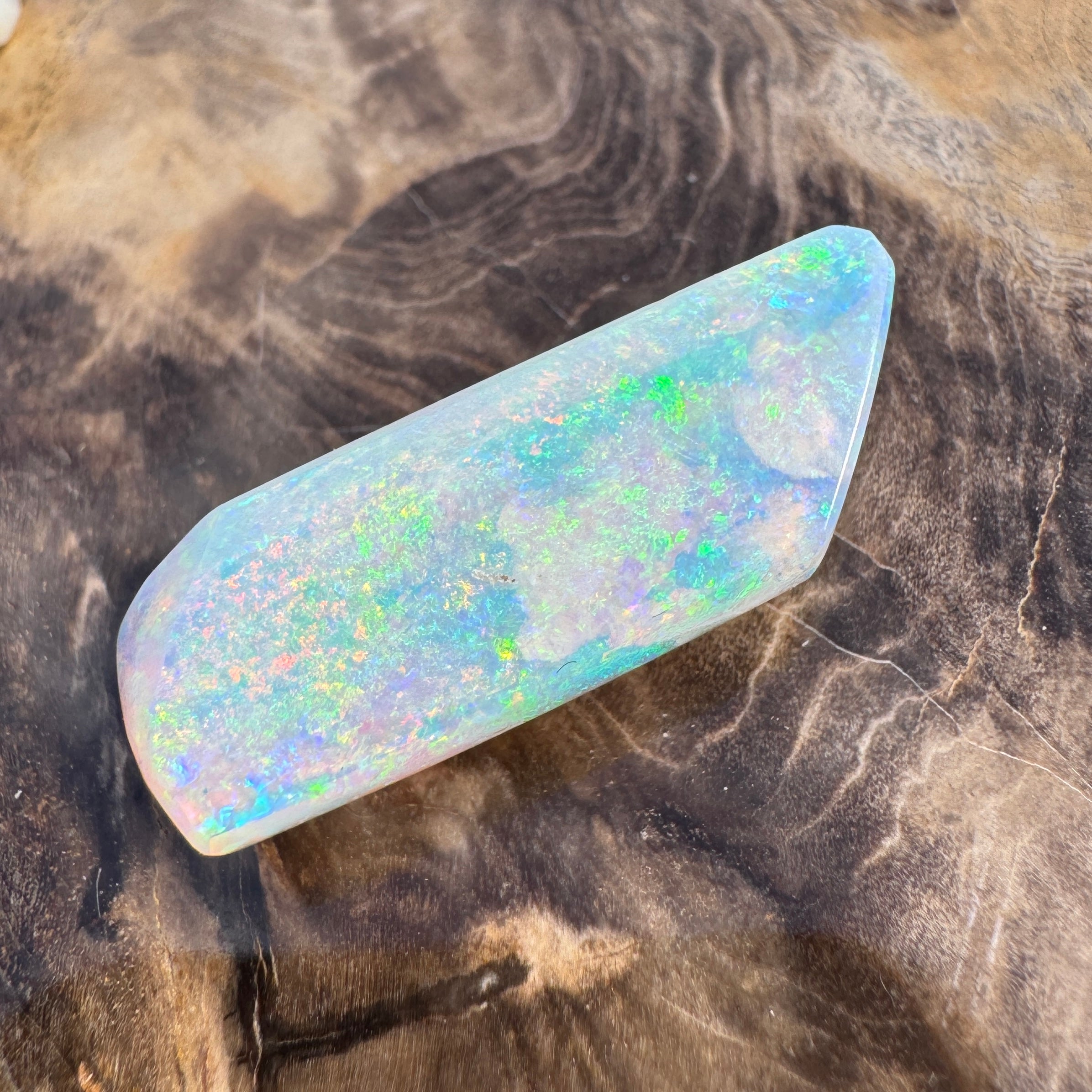 11.6ct Coober Pedy Belemnite Opal | Solid Australian Opal | Hand-Cut