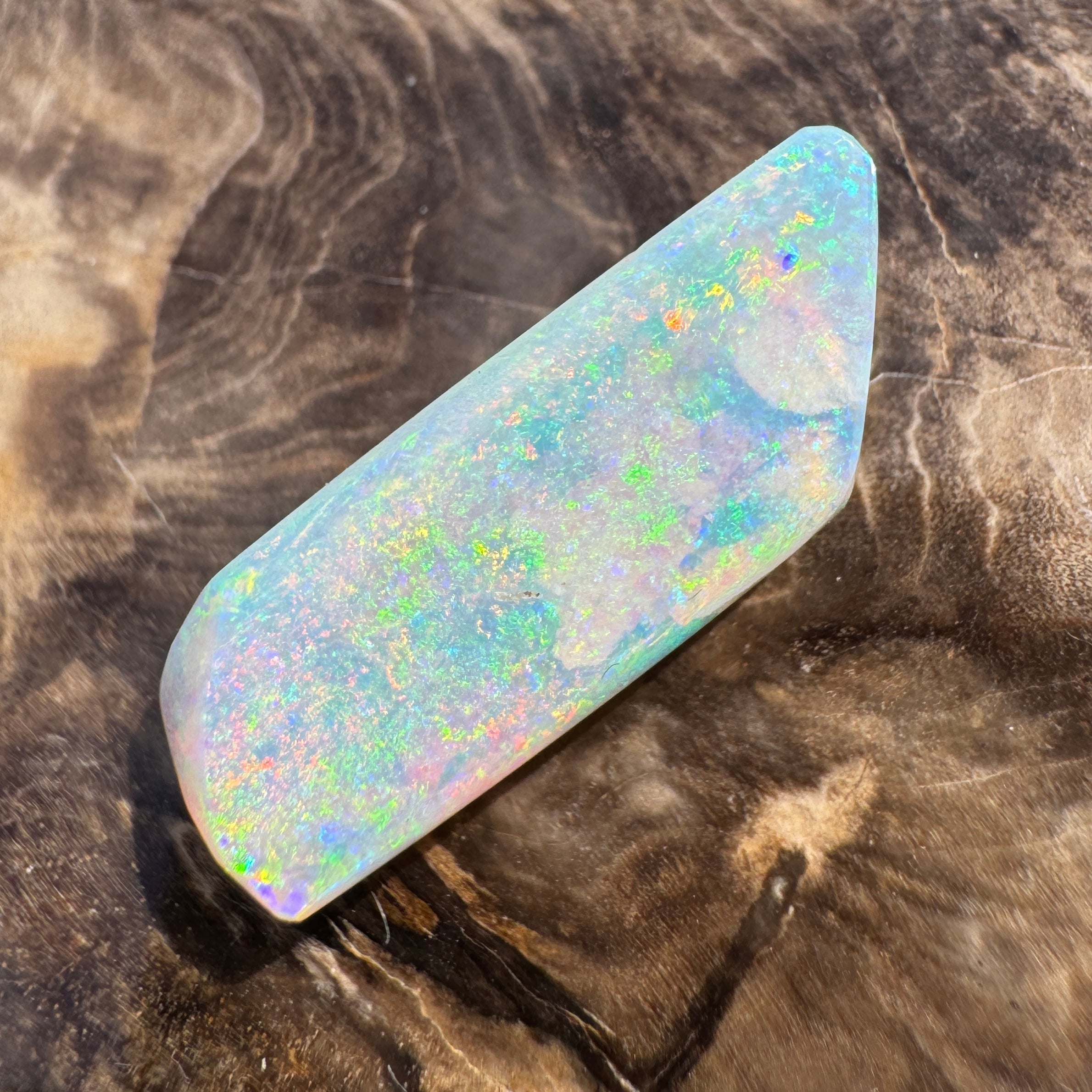 11.6ct Coober Pedy Belemnite Opal | Solid Australian Opal | Hand-Cut