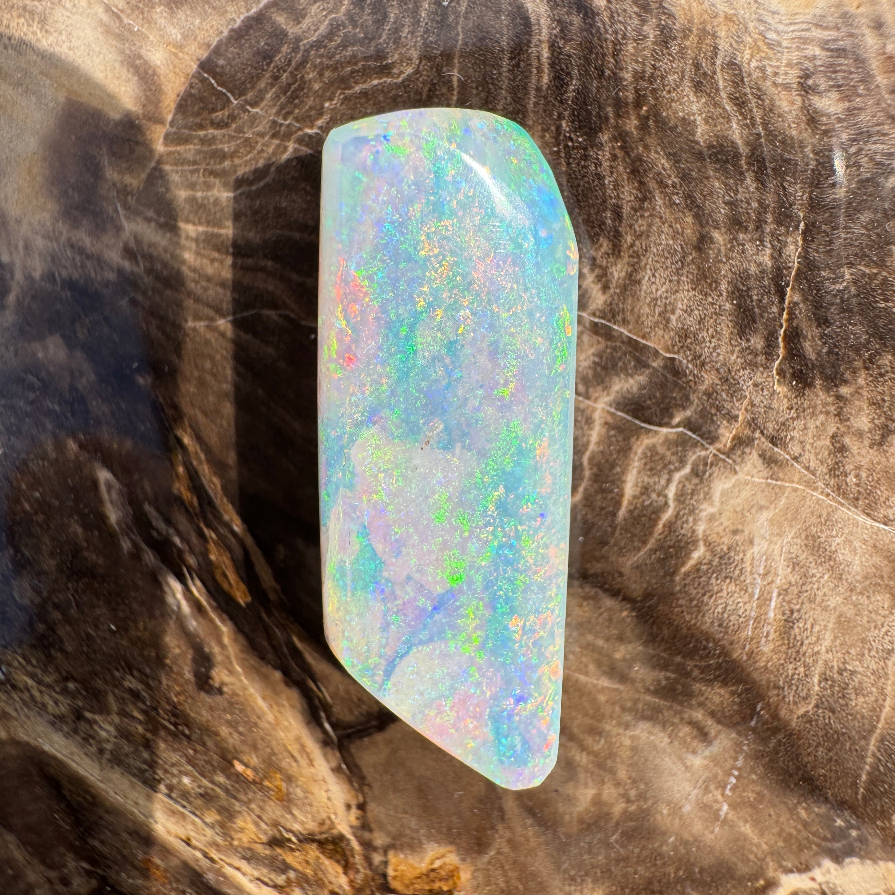 11.6ct Coober Pedy Belemnite Opal | Solid Australian Opal | Hand-Cut