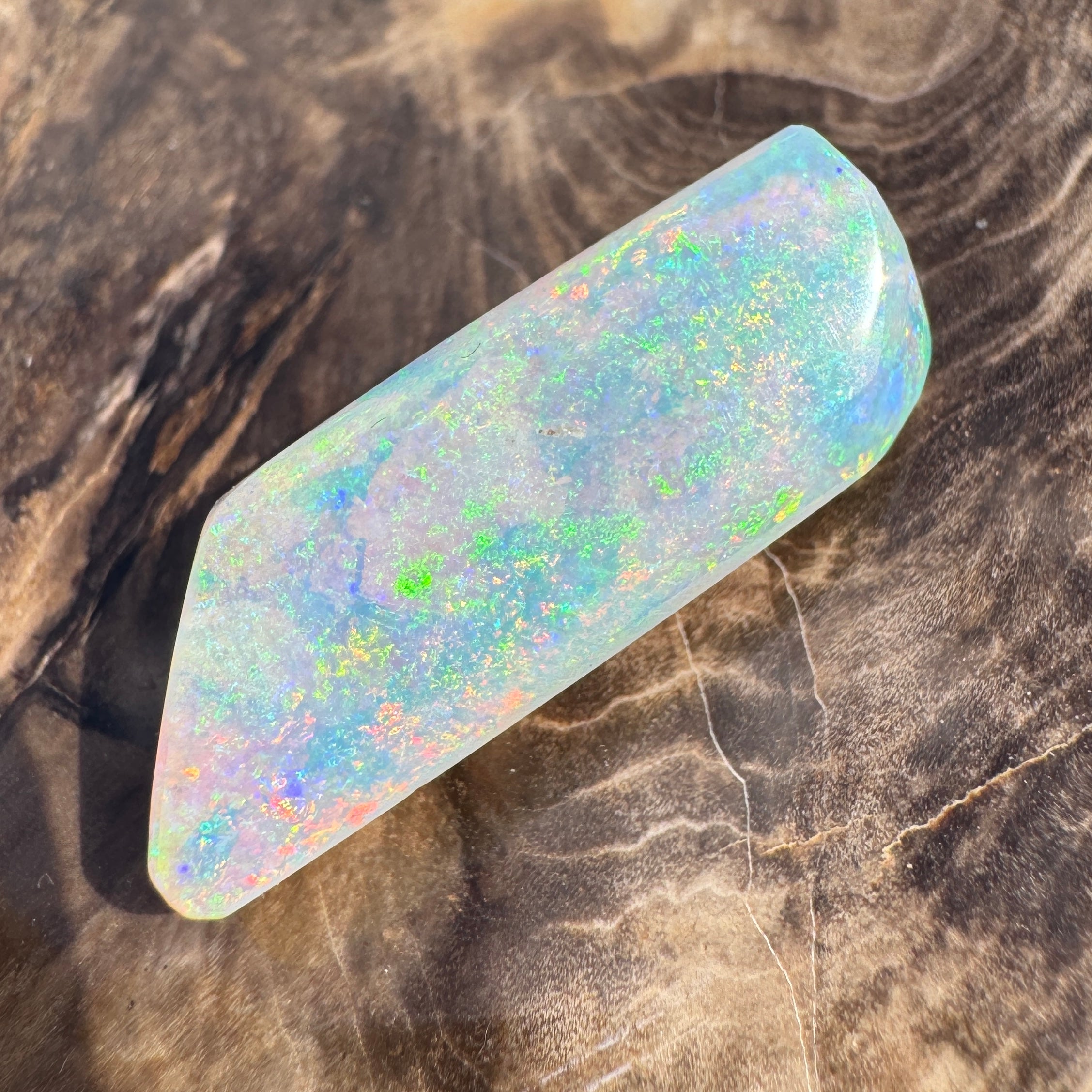 11.6ct Coober Pedy Belemnite Opal | Solid Australian Opal | Hand-Cut