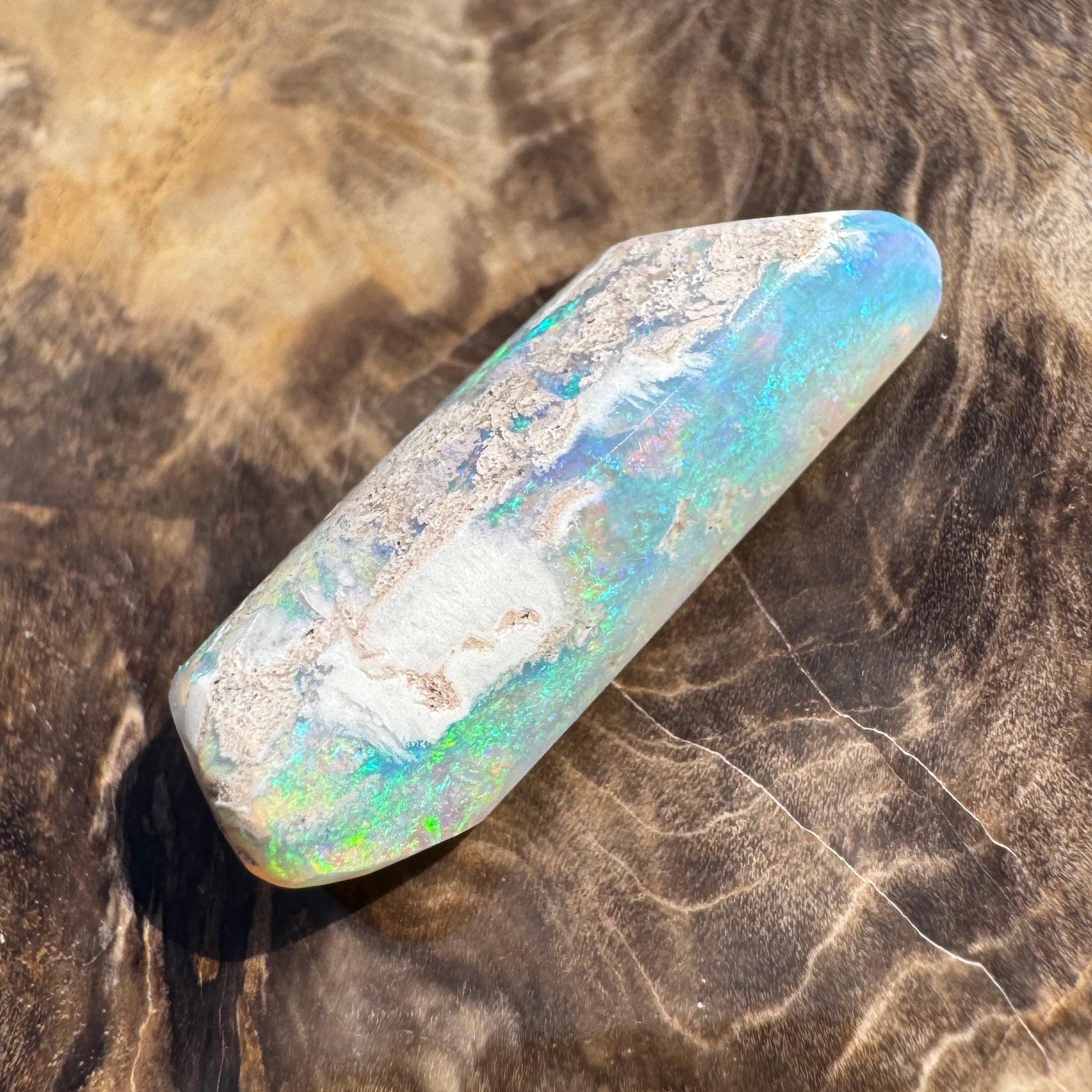 11.6ct Coober Pedy Belemnite Opal | Solid Australian Opal | Hand-Cut