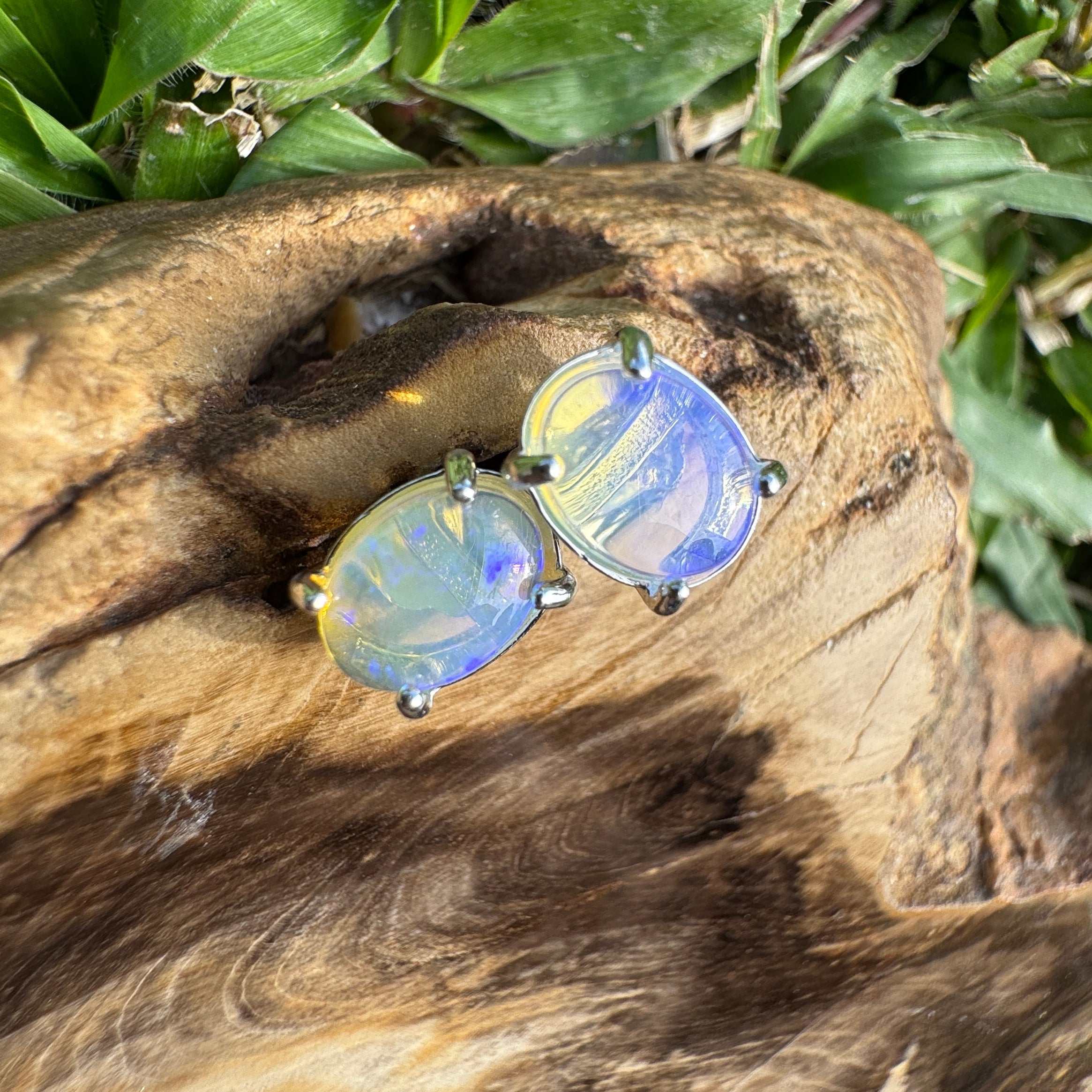 1.7ct Coober Pedy Opal Earrings ~ 'Murramarang Blue' | 925 Sterling Silver | Solid Australian Opal