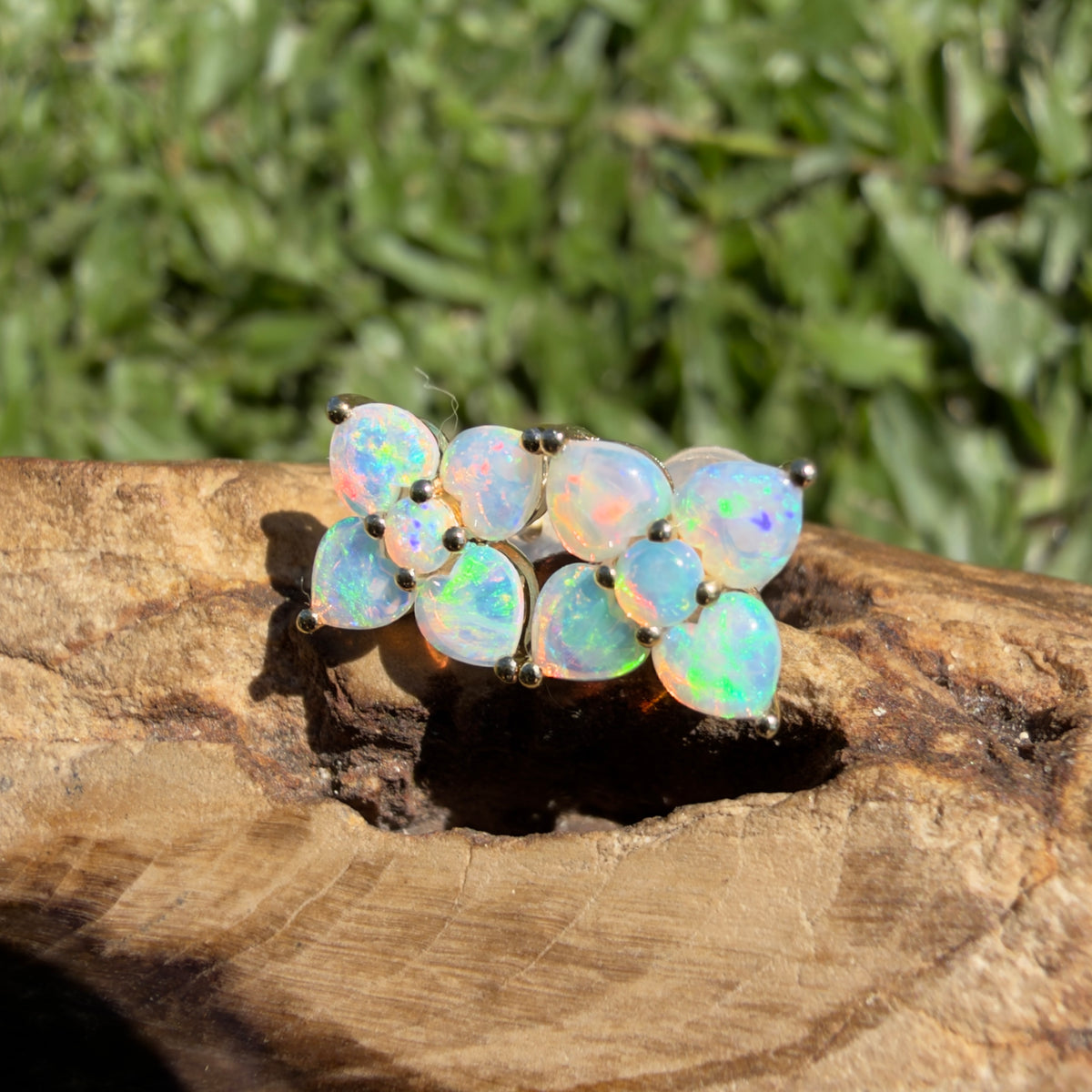 1.2ct Coober Pedy Opal Flower Stud Earrings ~ 'Hunter Valley Blossom' | 9ct Yellow Gold | Solid Australian Opal