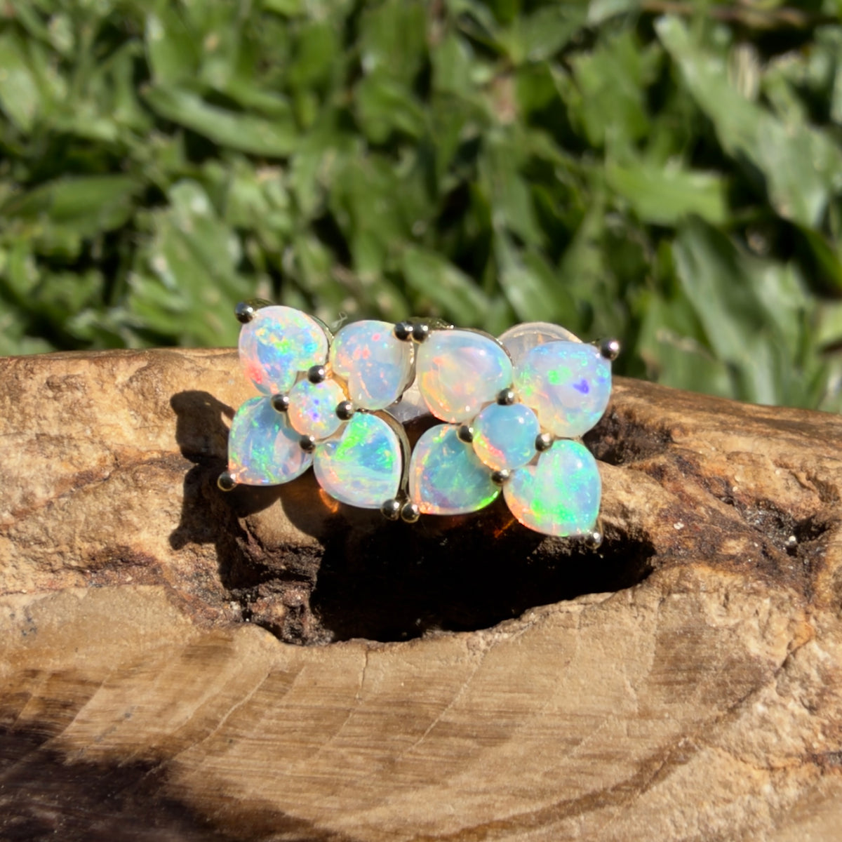 1.2ct Coober Pedy Opal Flower Stud Earrings ~ 'Hunter Valley Blossom' | 9ct Yellow Gold | Solid Australian Opal