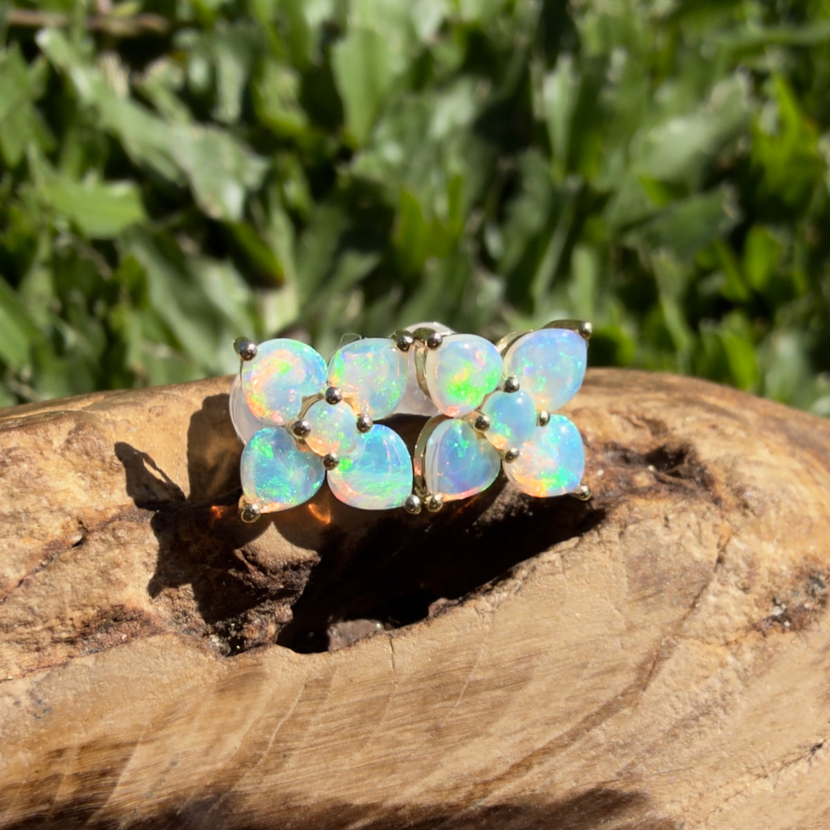 1.2ct Coober Pedy Opal Flower Stud Earrings ~ 'Hunter Valley Blossom' | 9ct Yellow Gold | Solid Australian Opal