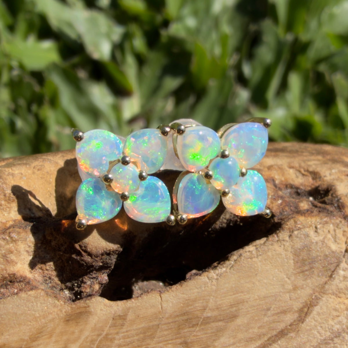 1.2ct Coober Pedy Opal Flower Stud Earrings ~ 'Hunter Valley Blossom' | 9ct Yellow Gold | Solid Australian Opal