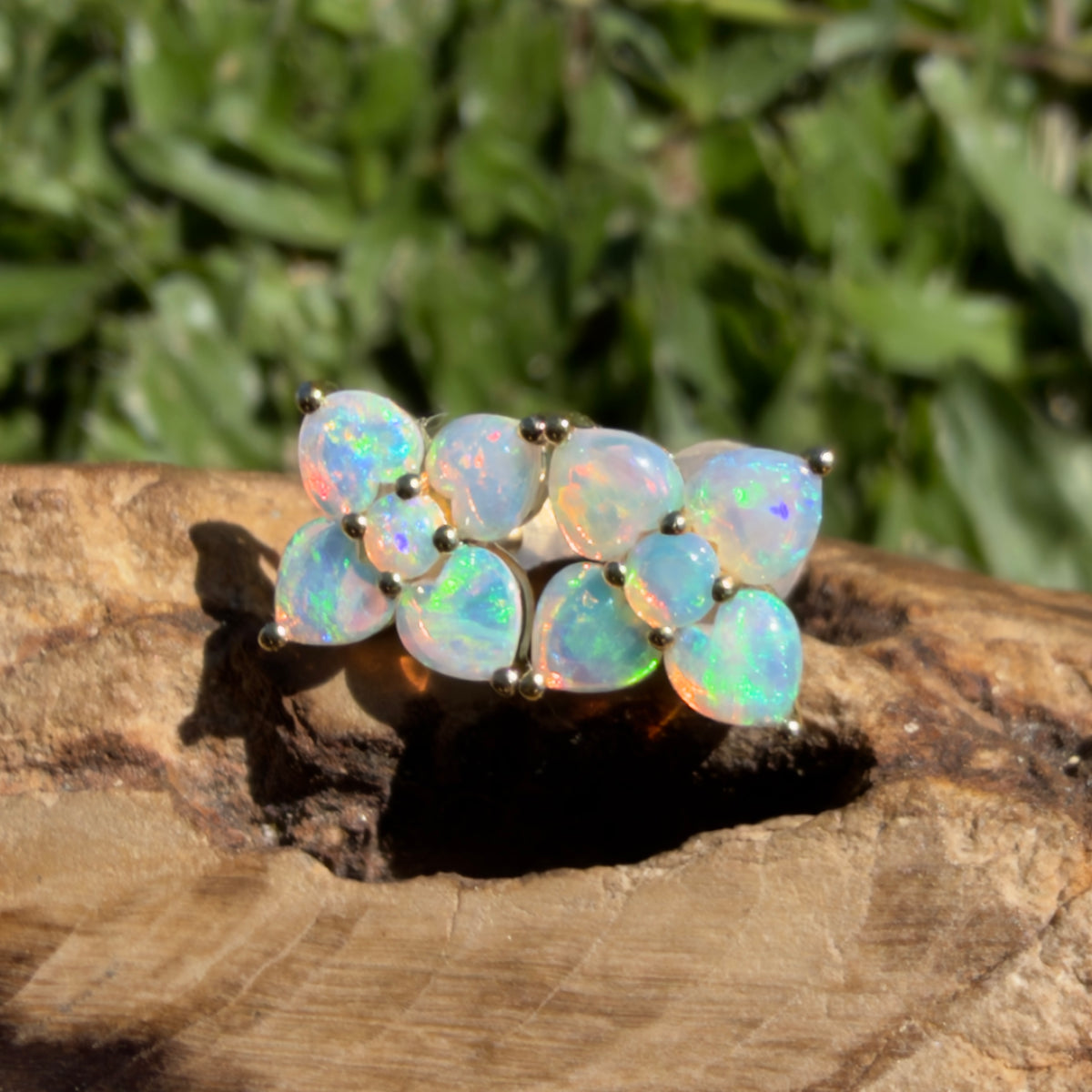 1.2ct Coober Pedy Opal Flower Stud Earrings ~ 'Hunter Valley Blossom' | 9ct Yellow Gold | Solid Australian Opal