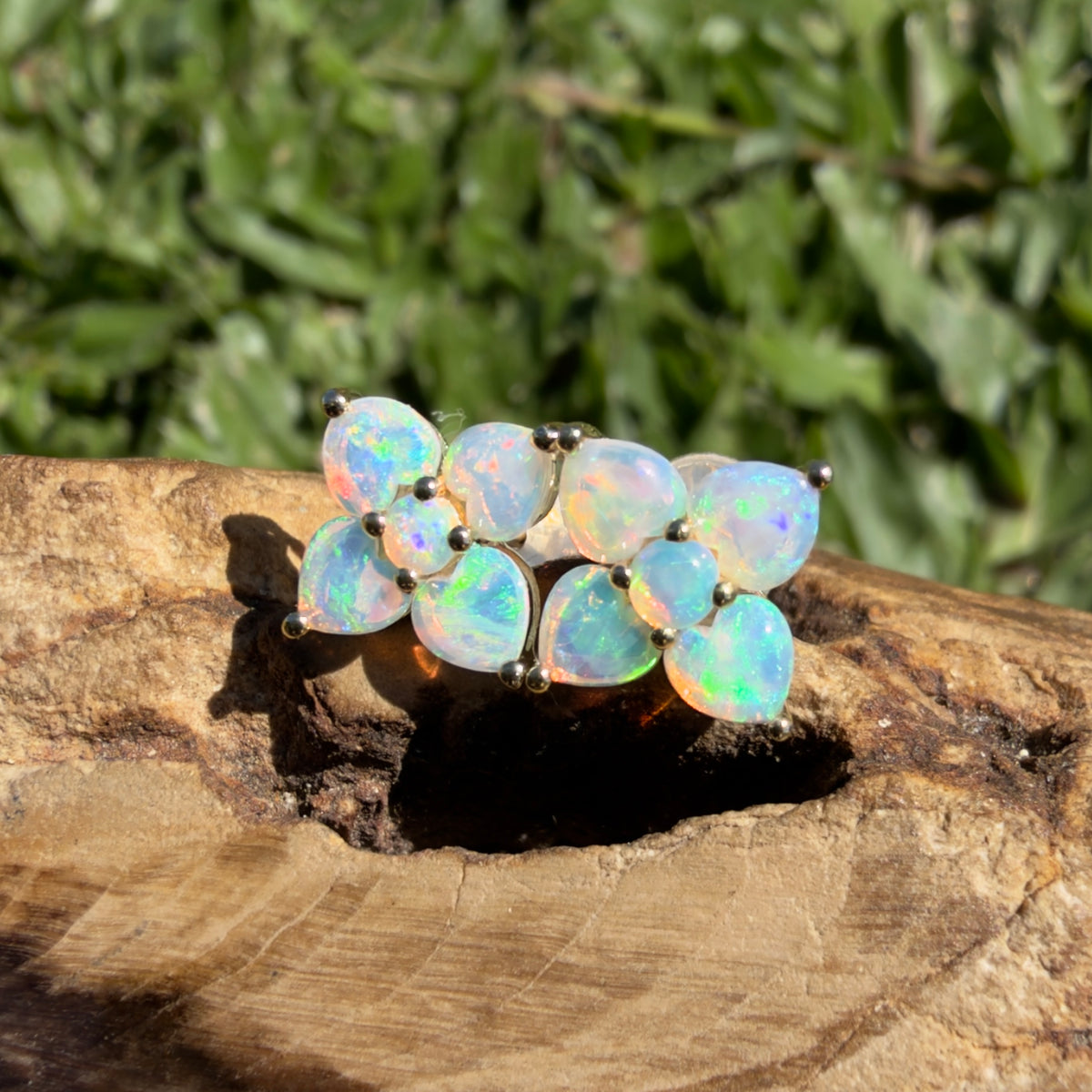 1.2ct Coober Pedy Opal Flower Stud Earrings ~ 'Hunter Valley Blossom' | 9ct Yellow Gold | Solid Australian Opal