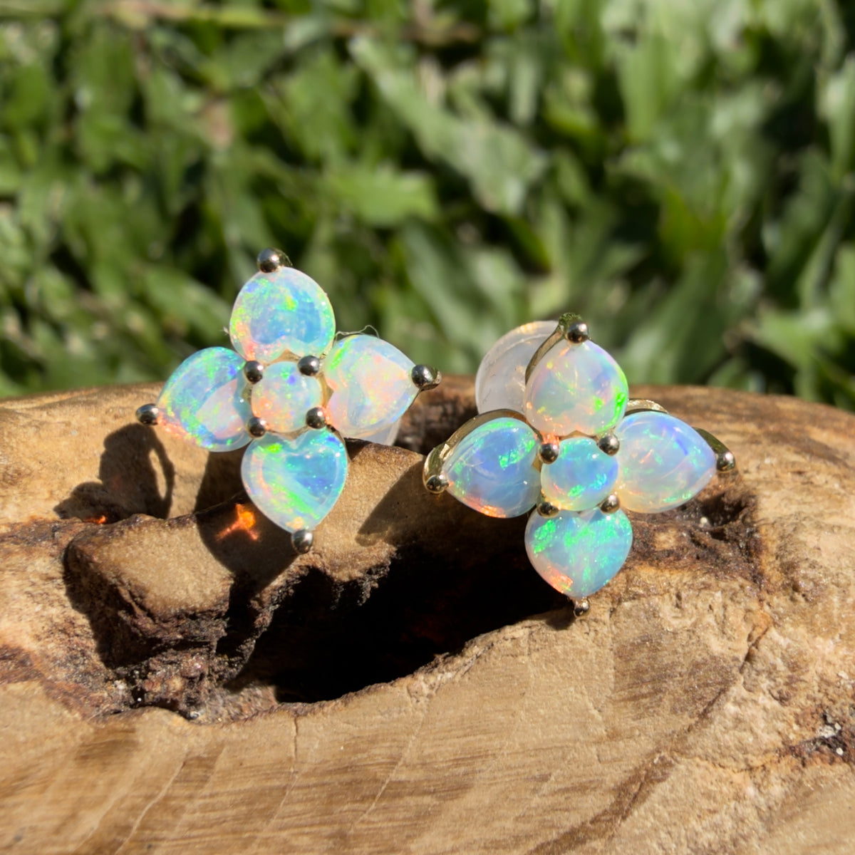 1.2ct Coober Pedy Opal Flower Stud Earrings ~ 'Hunter Valley Blossom' | 9ct Yellow Gold | Solid Australian Opal
