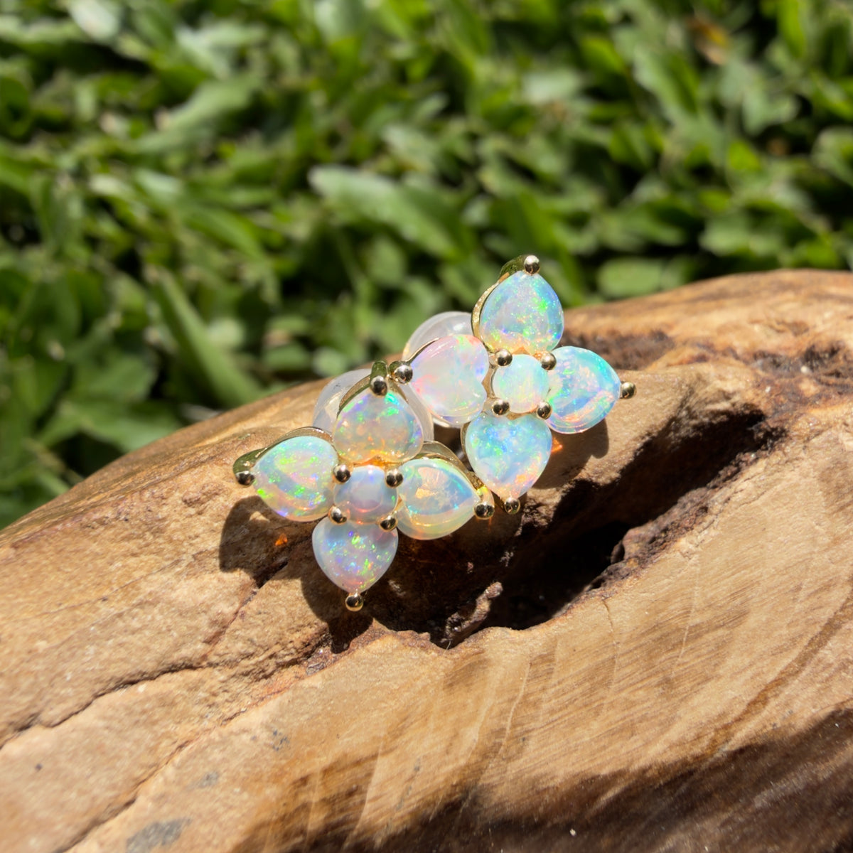 1.2ct Coober Pedy Opal Flower Stud Earrings ~ 'Adelaide Hills Blossom' | 9ct Yellow Gold | Solid Australian Opal