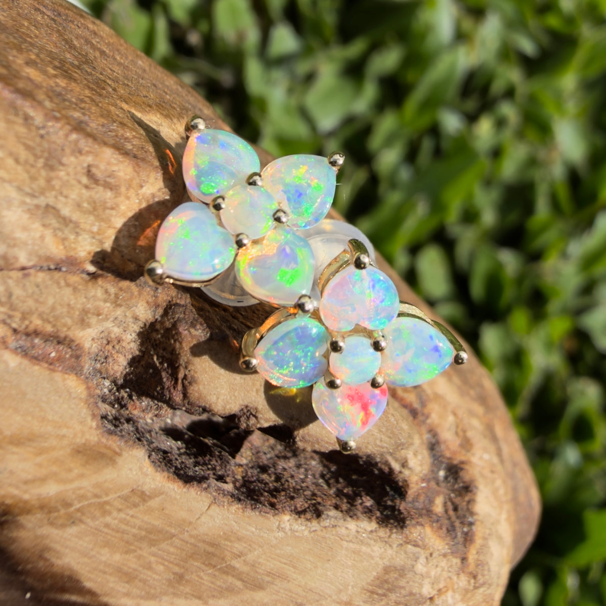 1.2ct Coober Pedy Opal Flower Stud Earrings ~ 'Adelaide Hills Blossom' | 9ct Yellow Gold | Solid Australian Opal