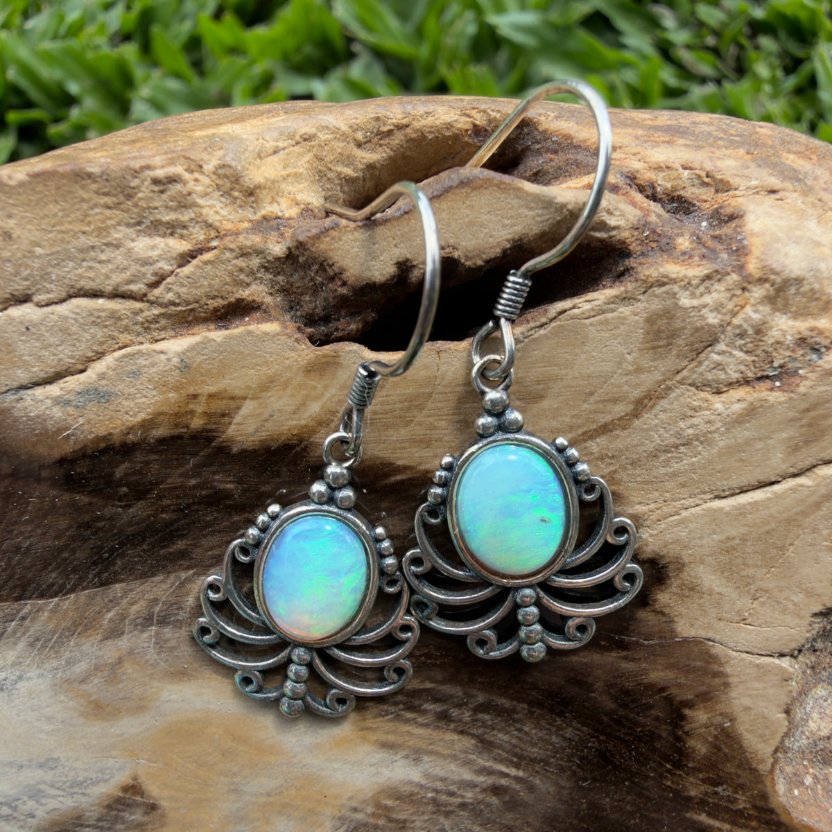1.2ct Lightning Ridge Opal Filigree Hook Earrings ~ 'Stanthorpe Lace' | 925 Sterling Silver | Solid Australian Opal
