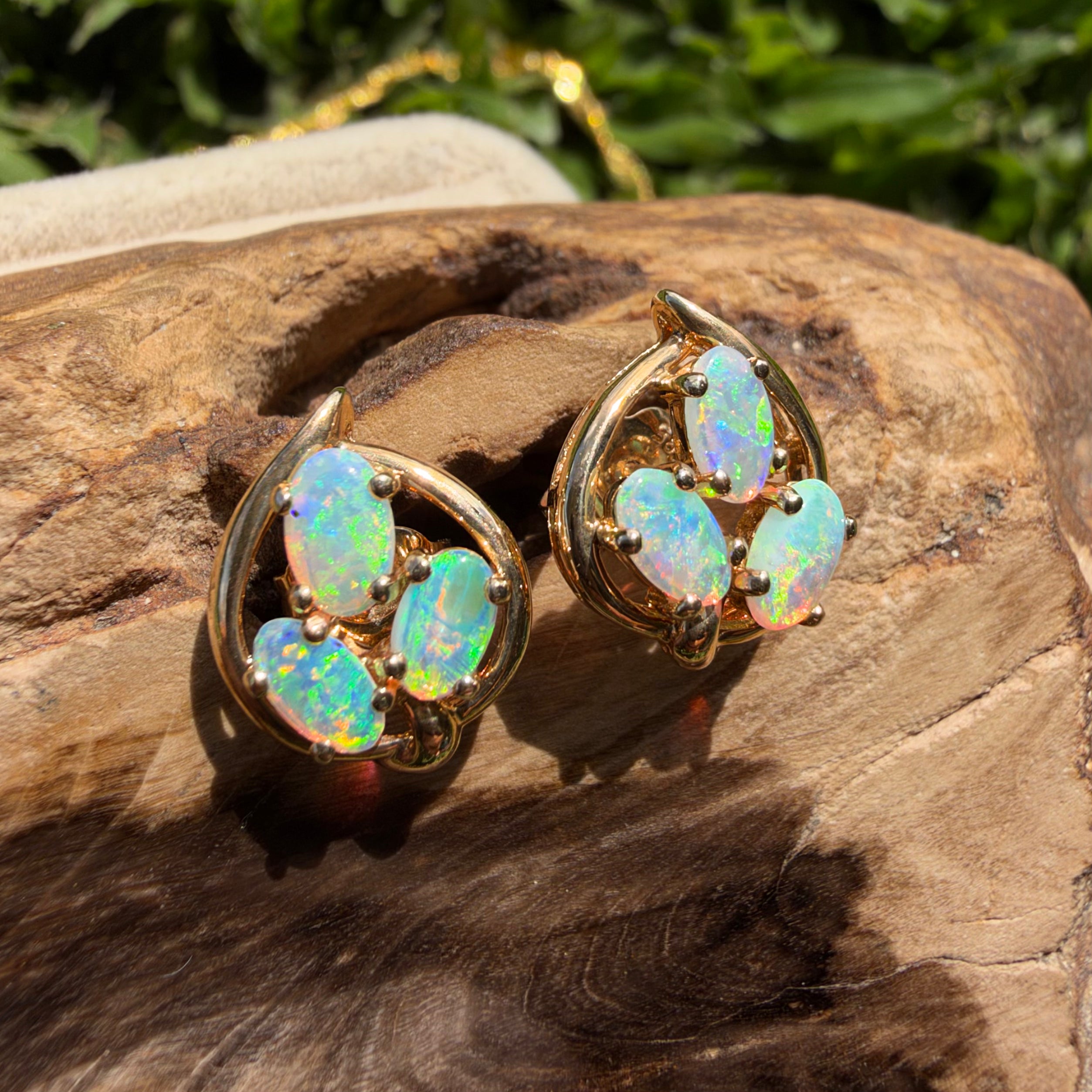 1ct Lightning Ridge Opal Cluster Stud Earrings ~ 'Deloraine Cluster' | 14ct Yellow Gold | Solid Australian Opal