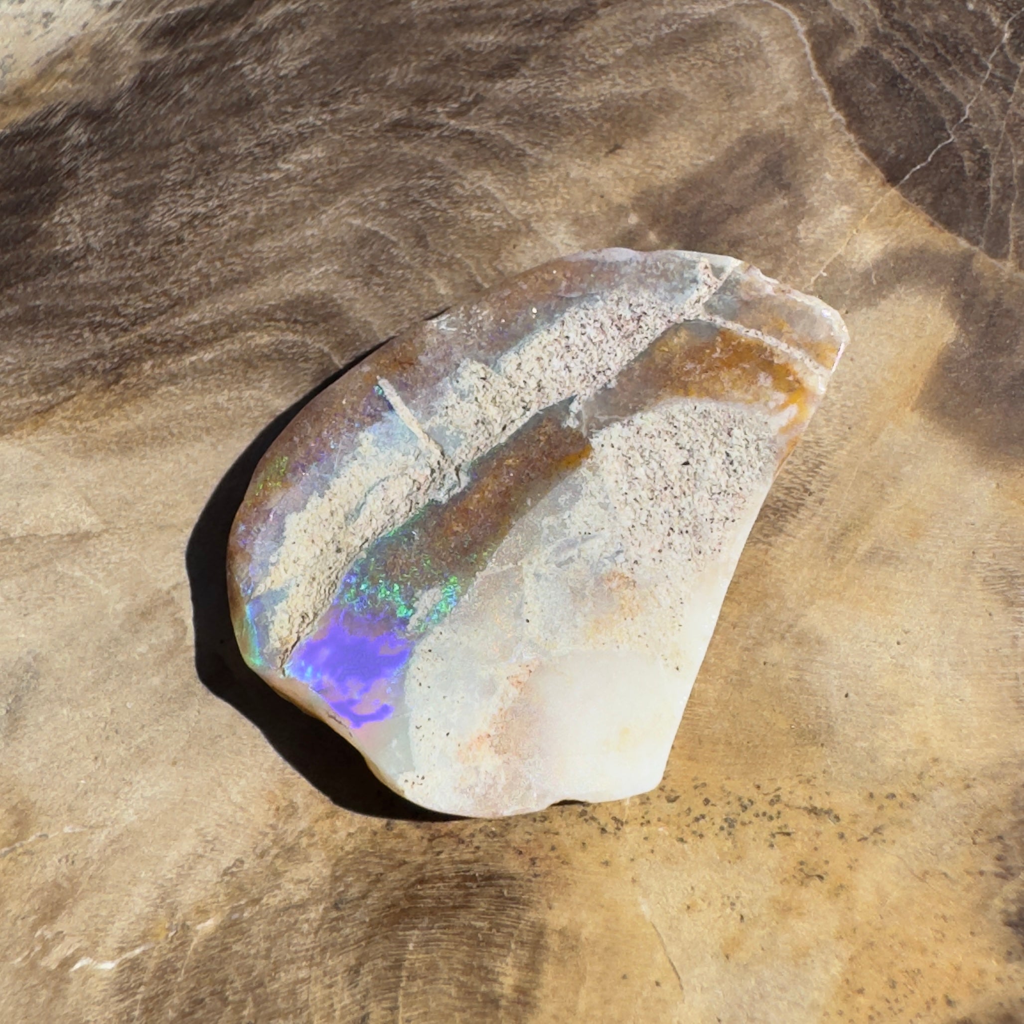 2.8ct Coober Pedy Fossil Specimen | Solid Australian Opal