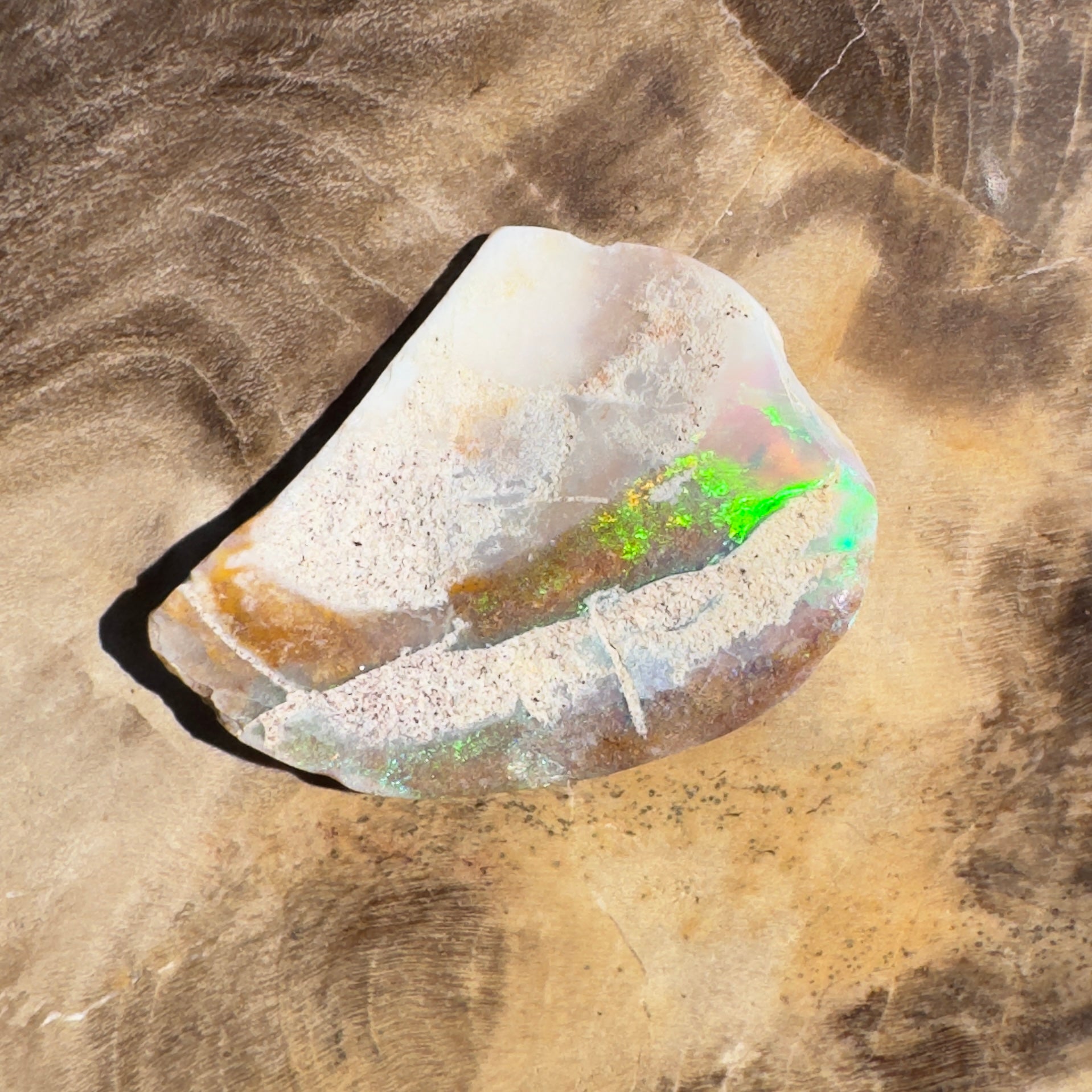 2.8ct Coober Pedy Fossil Specimen | Solid Australian Opal