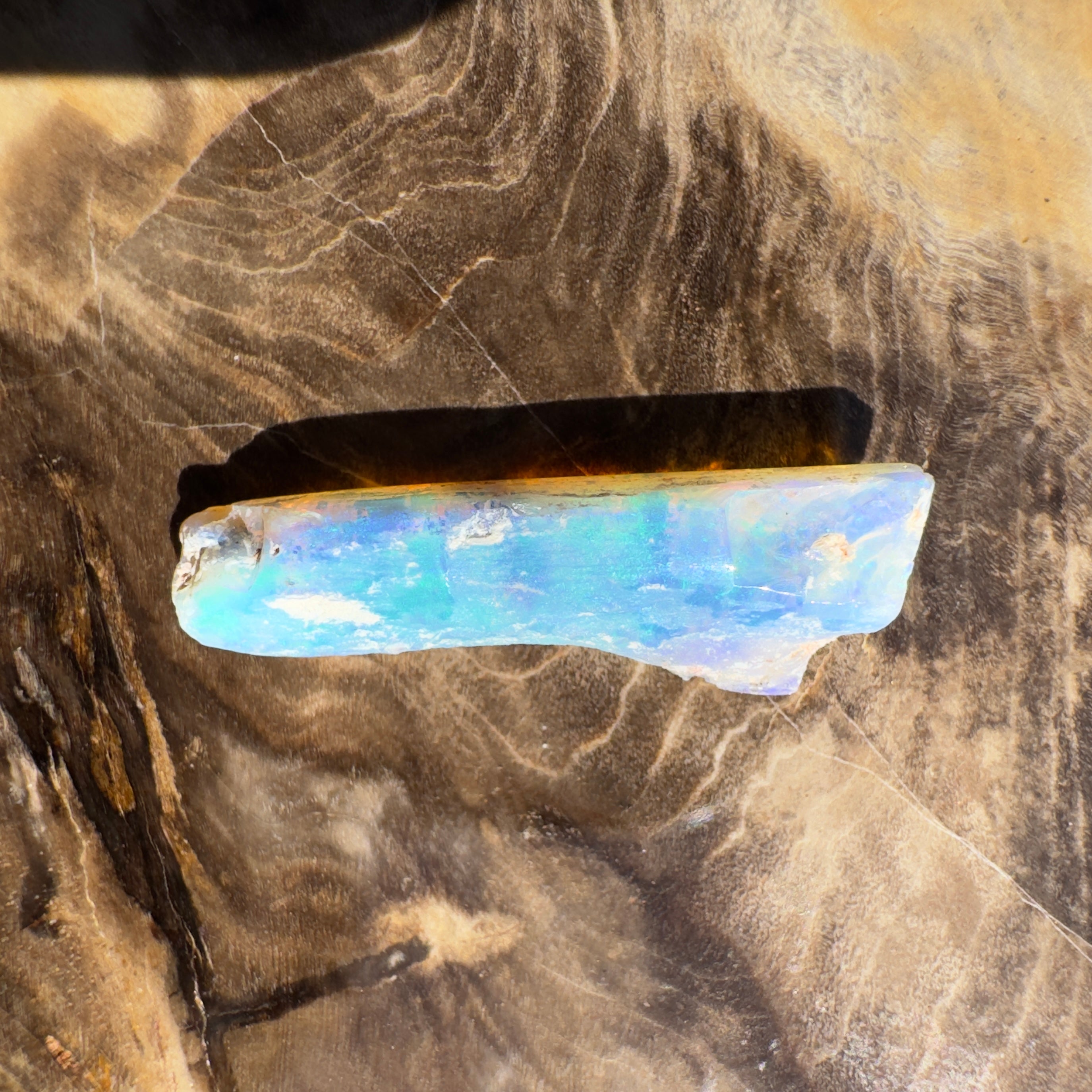 4.2ct Coober Pedy Fossil | Solid Australian Opal | Hand-Cut