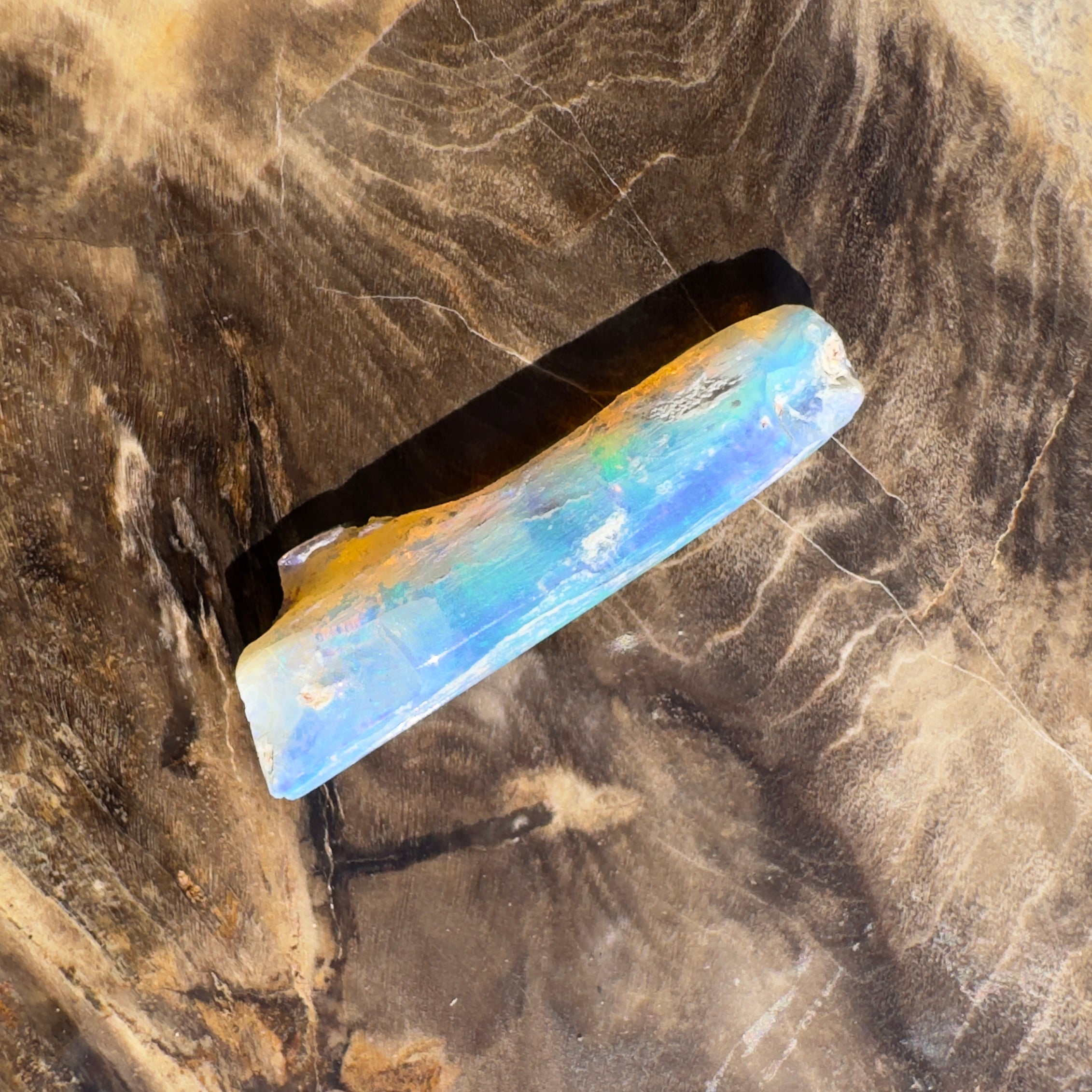 4.2ct Coober Pedy Fossil | Solid Australian Opal | Hand-Cut