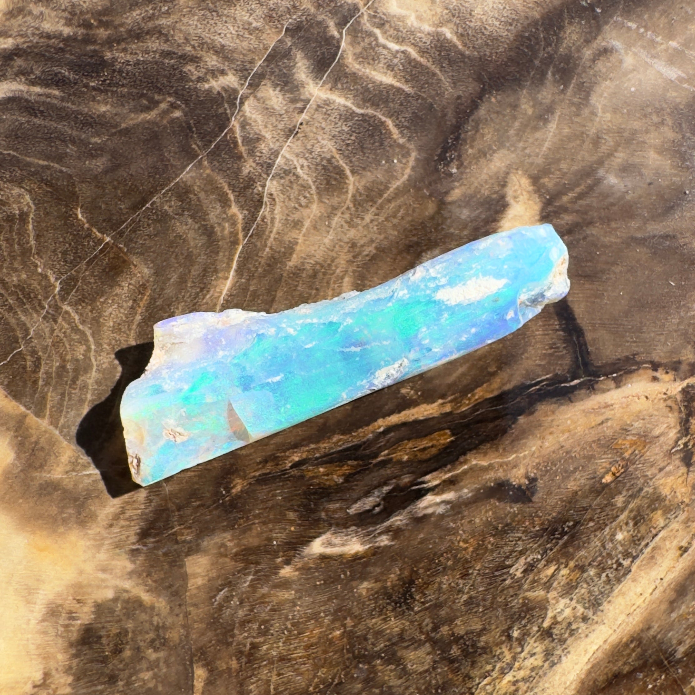 4.2ct Coober Pedy Fossil | Solid Australian Opal | Hand-Cut