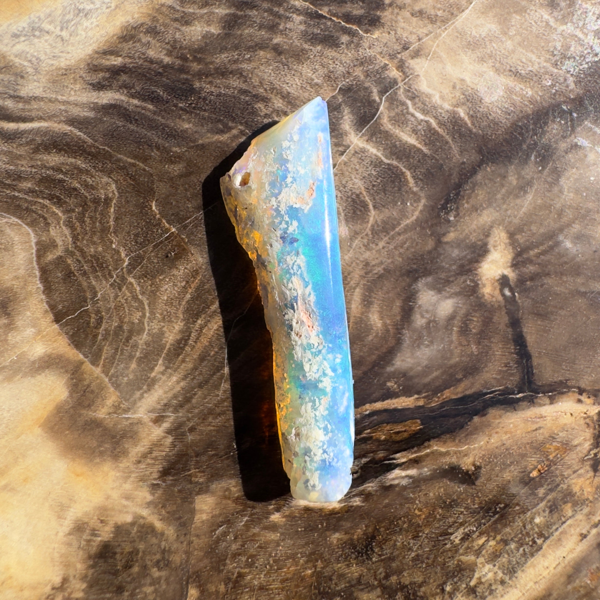 4.2ct Coober Pedy Fossil | Solid Australian Opal | Hand-Cut
