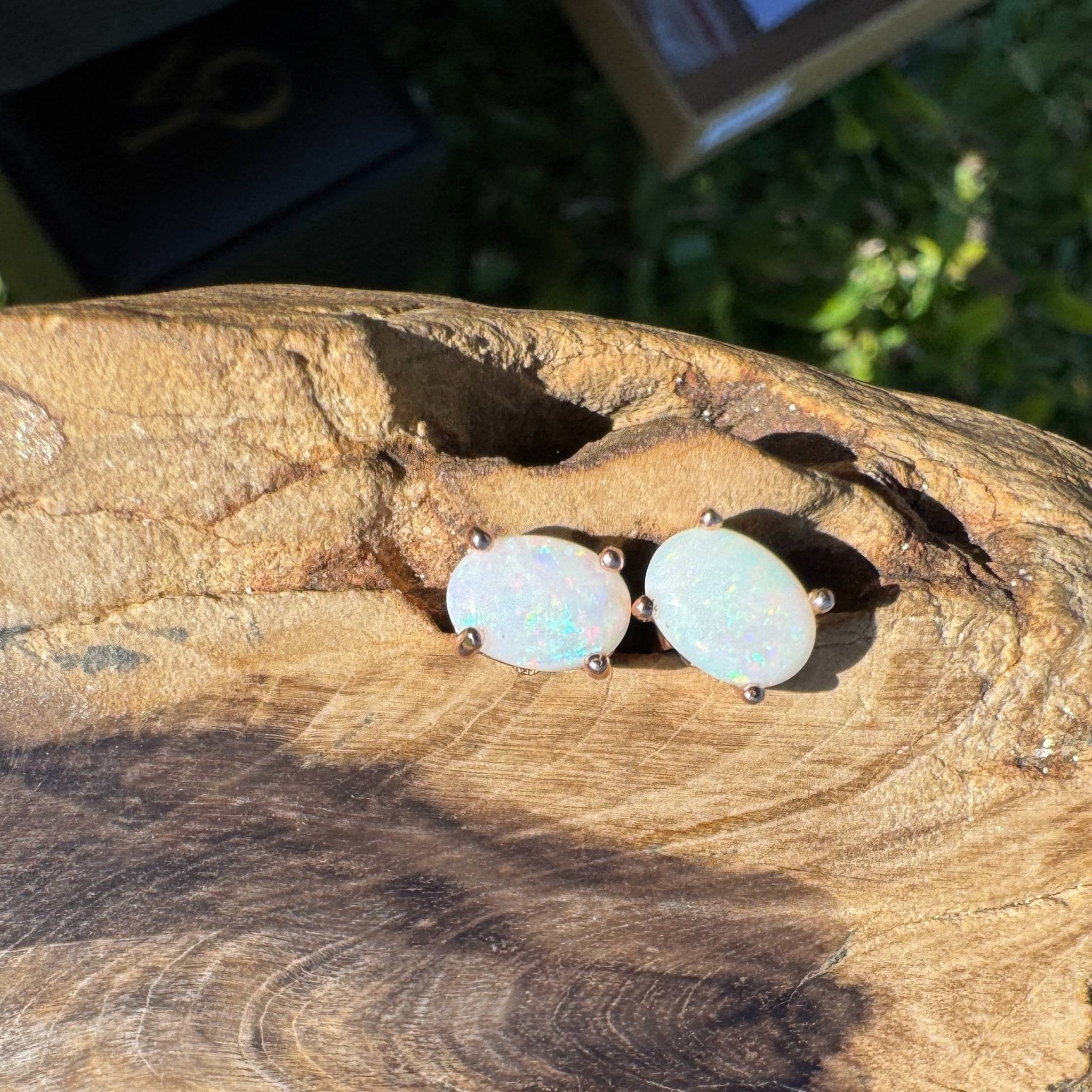 Blush Aurora ~ 1.4ct Coober Pedy Opal Rose Gold Coated Sterling Silver Earrings
