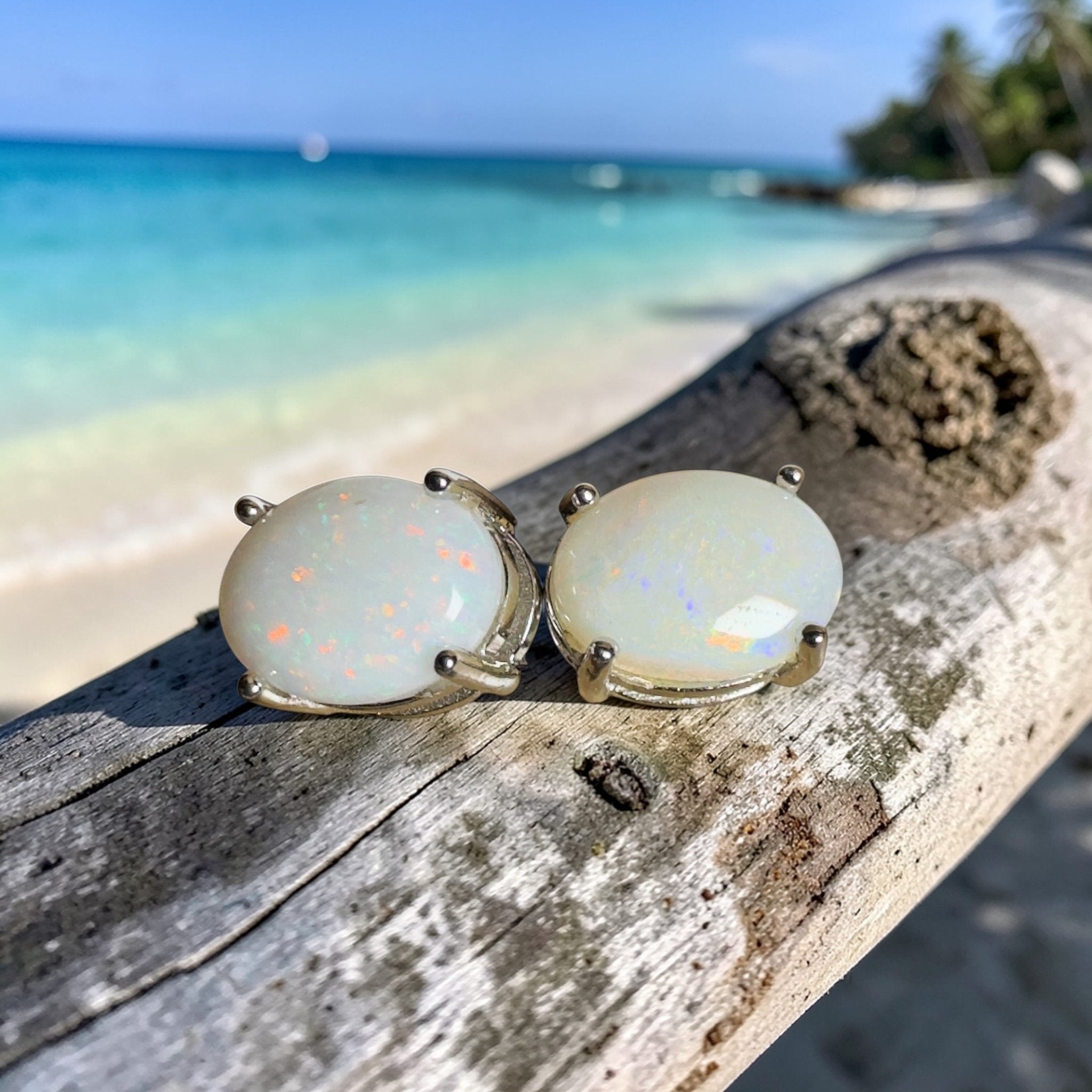 Bungle Bungle Shimmer ~ 1.6ct Coober Pedy Opal Sterling Silver Earrings