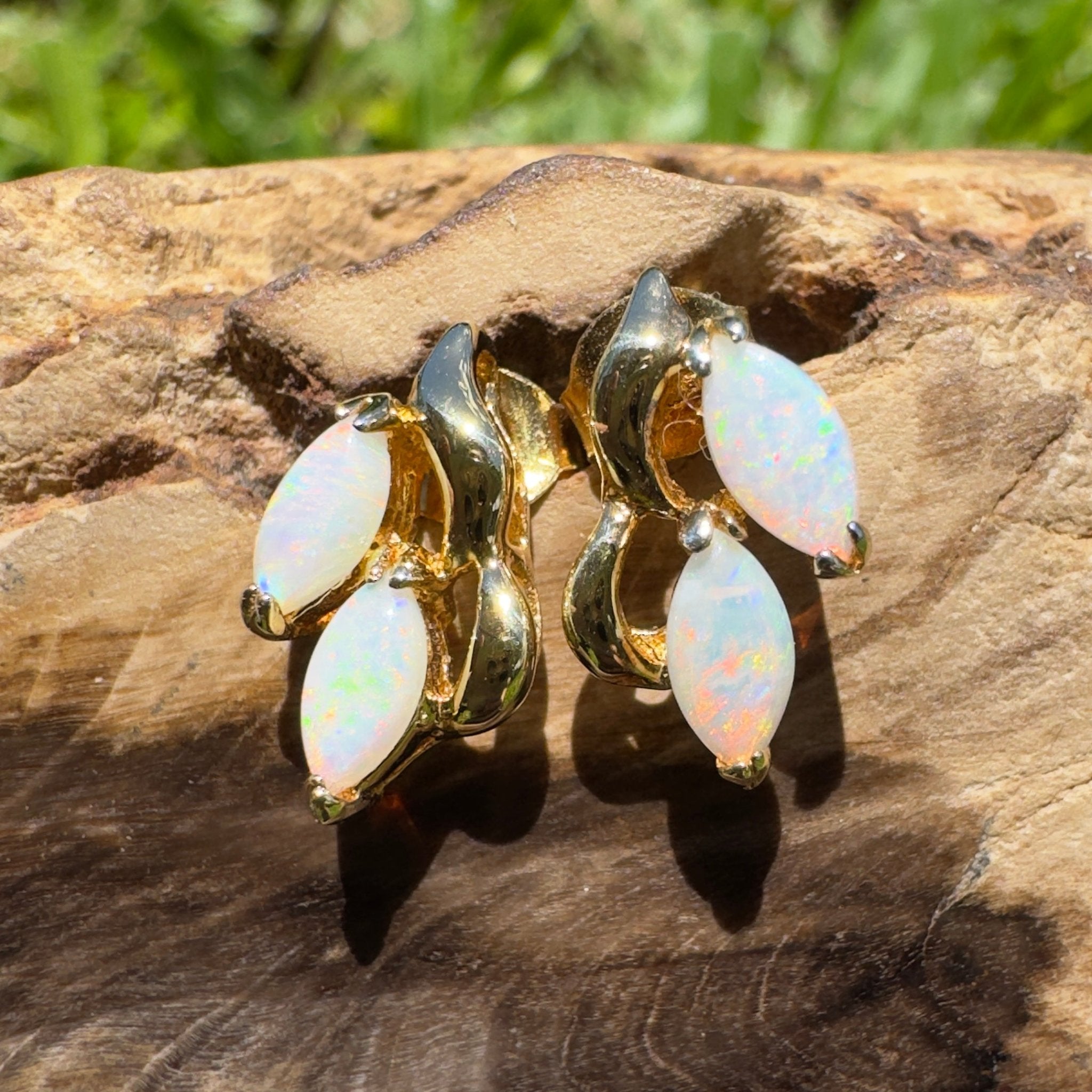 Cape York Wild Flowers ~ 0.8ct Coober Pedy Opal Yellow Gold Coated Sterling Silver Earrings