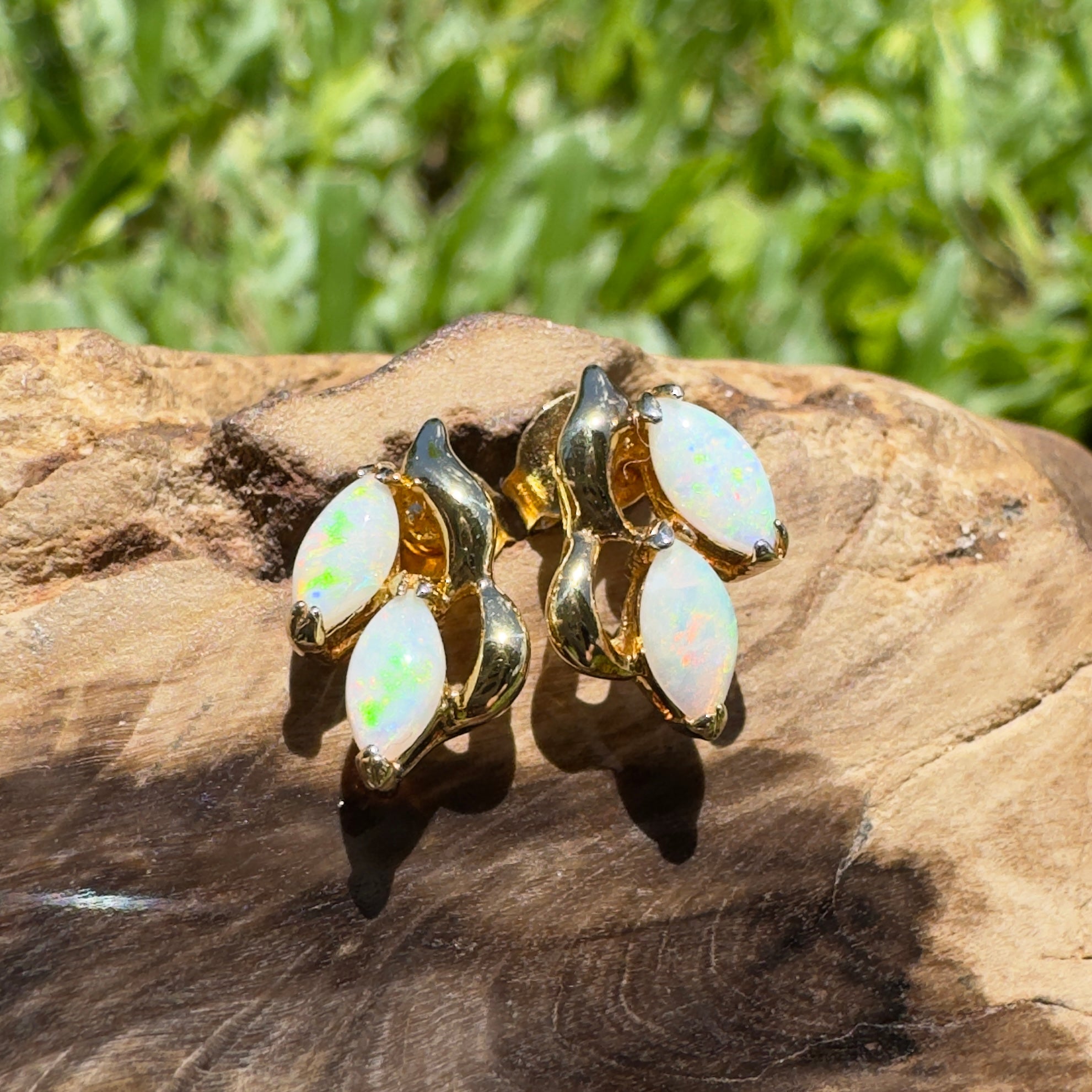 Cape York Wild Flowers ~ 0.8ct Coober Pedy Opal Yellow Gold Coated Sterling Silver Earrings