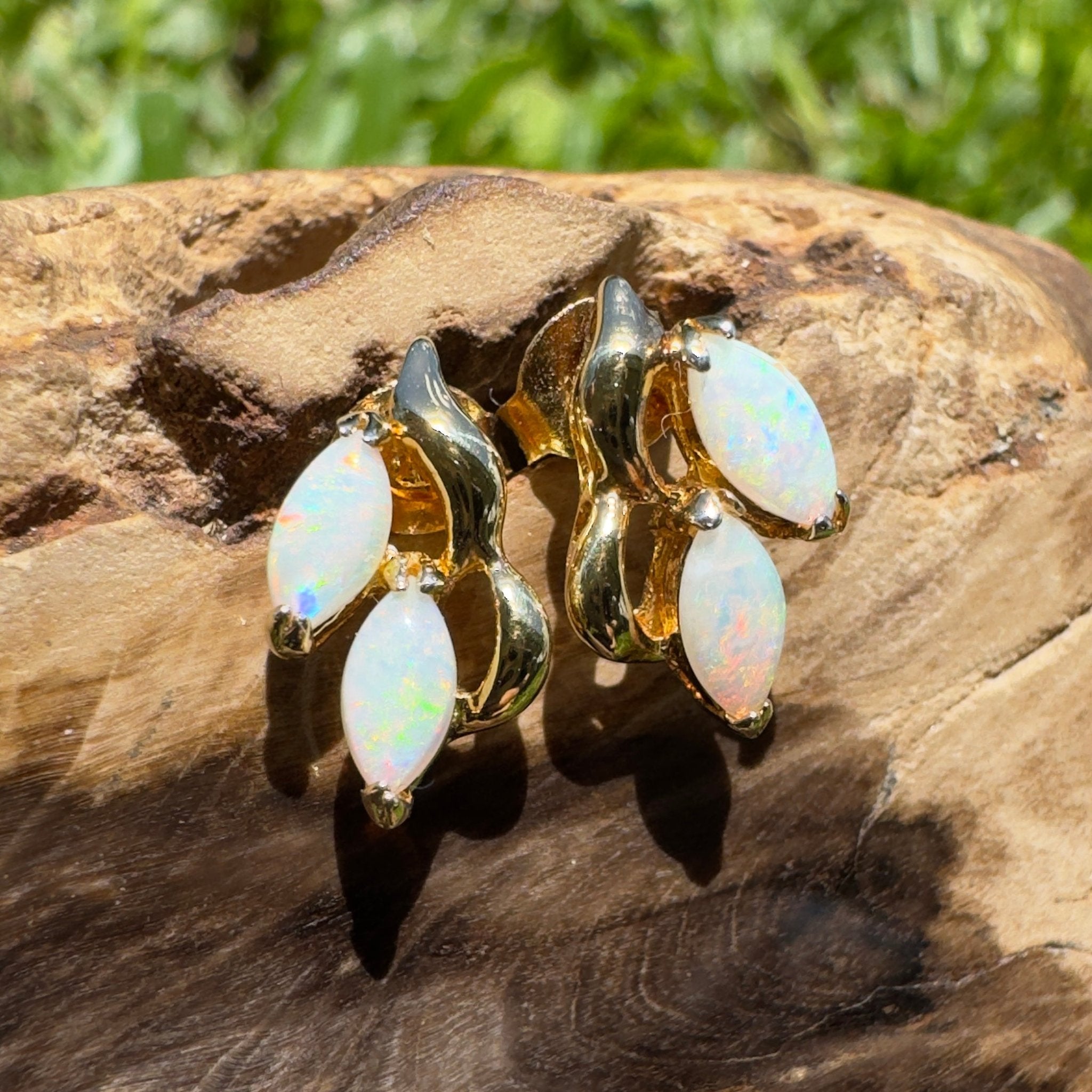 Cape York Wild Flowers ~ 0.8ct Coober Pedy Opal Yellow Gold Coated Sterling Silver Earrings