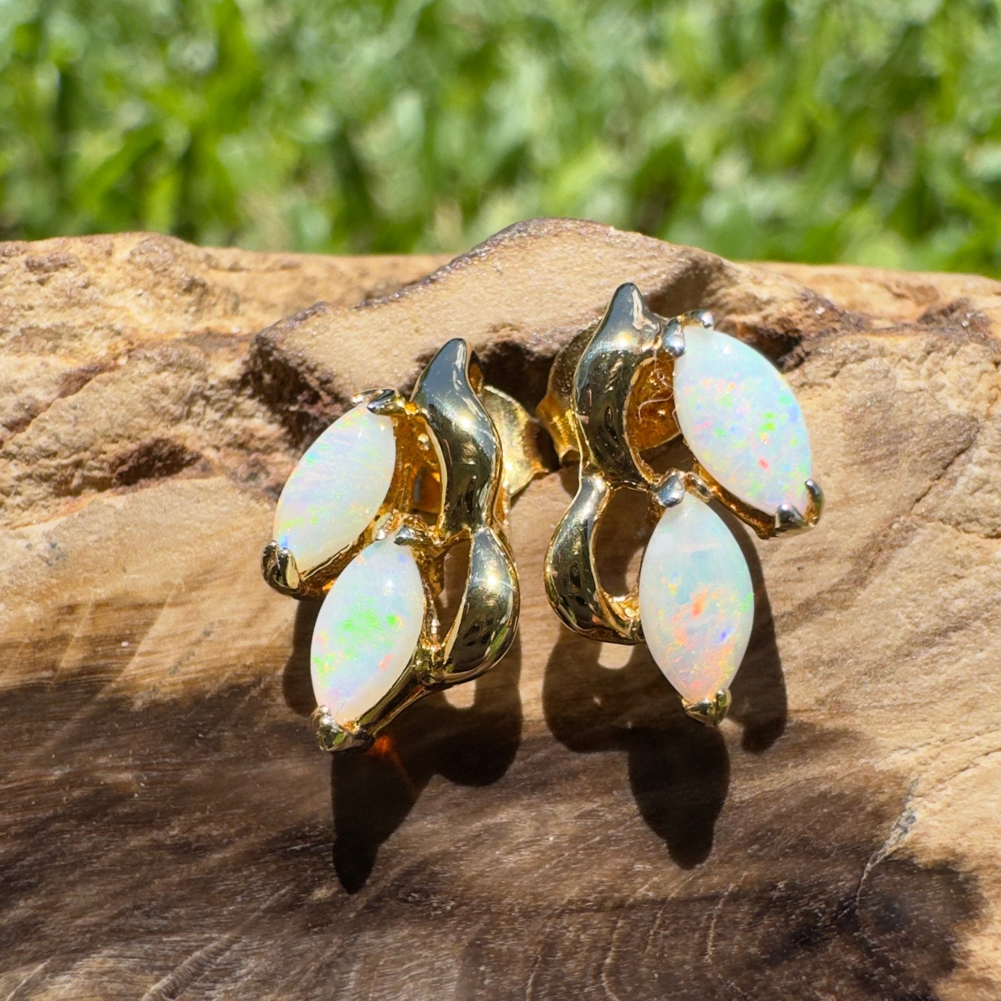 Cape York Wild Flowers ~ 0.8ct Coober Pedy Opal Yellow Gold Coated Sterling Silver Earrings