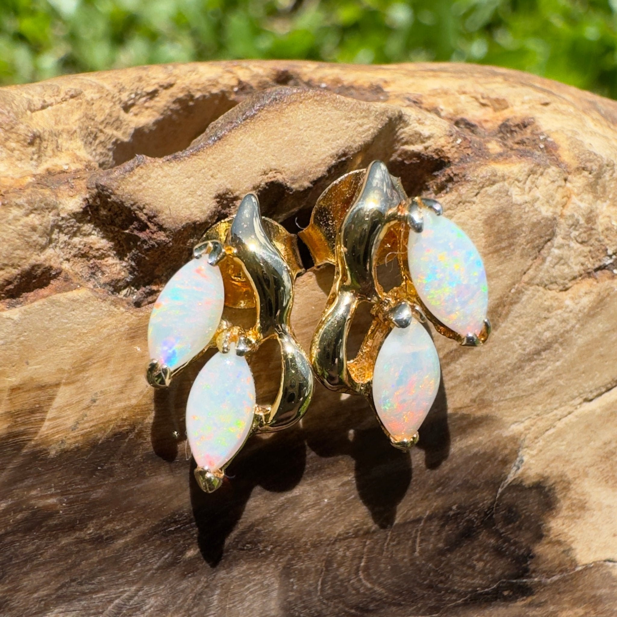 Cape York Wild Flowers ~ 0.8ct Coober Pedy Opal Yellow Gold Coated Sterling Silver Earrings