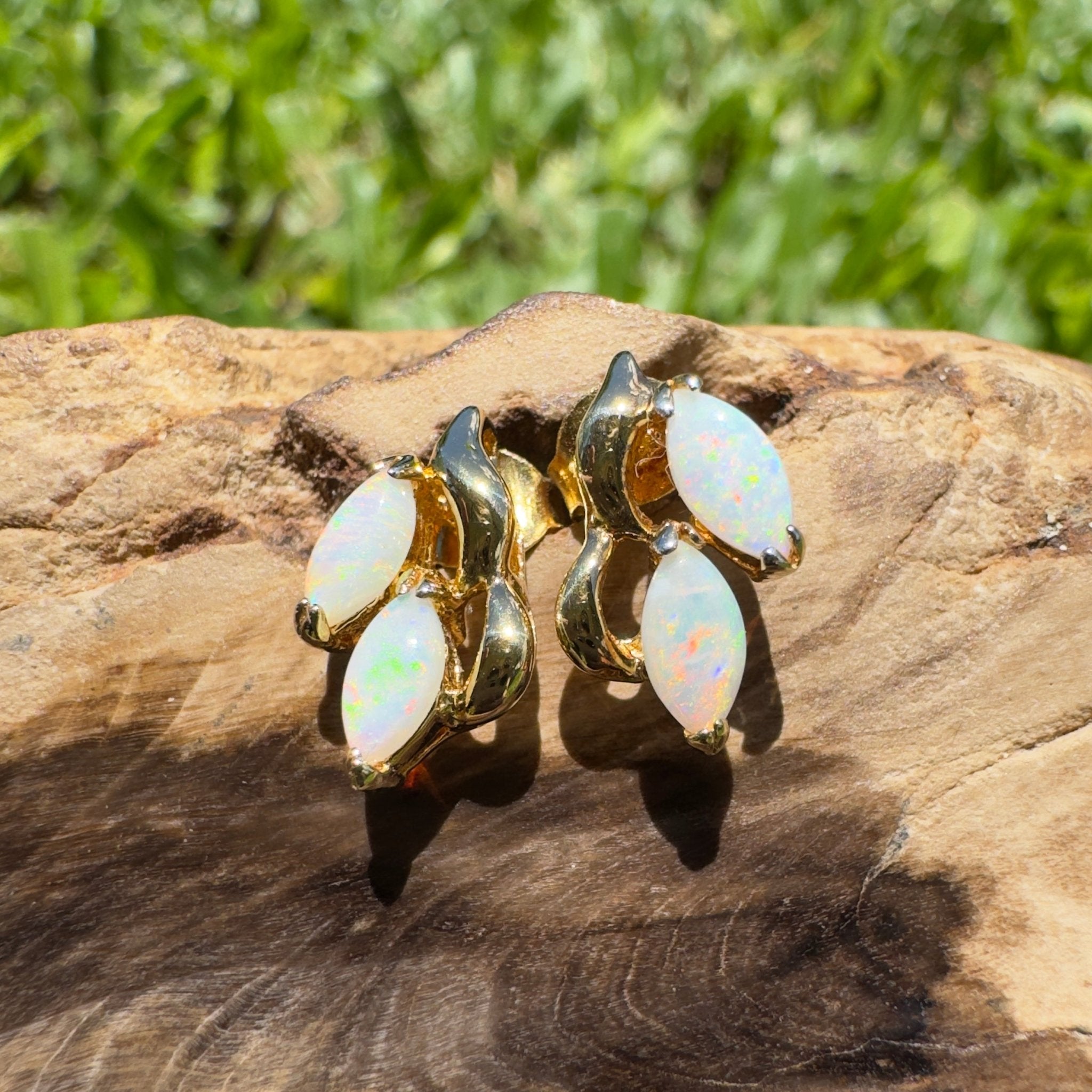 Cape York Wild Flowers ~ 0.8ct Coober Pedy Opal Yellow Gold Coated Sterling Silver Earrings