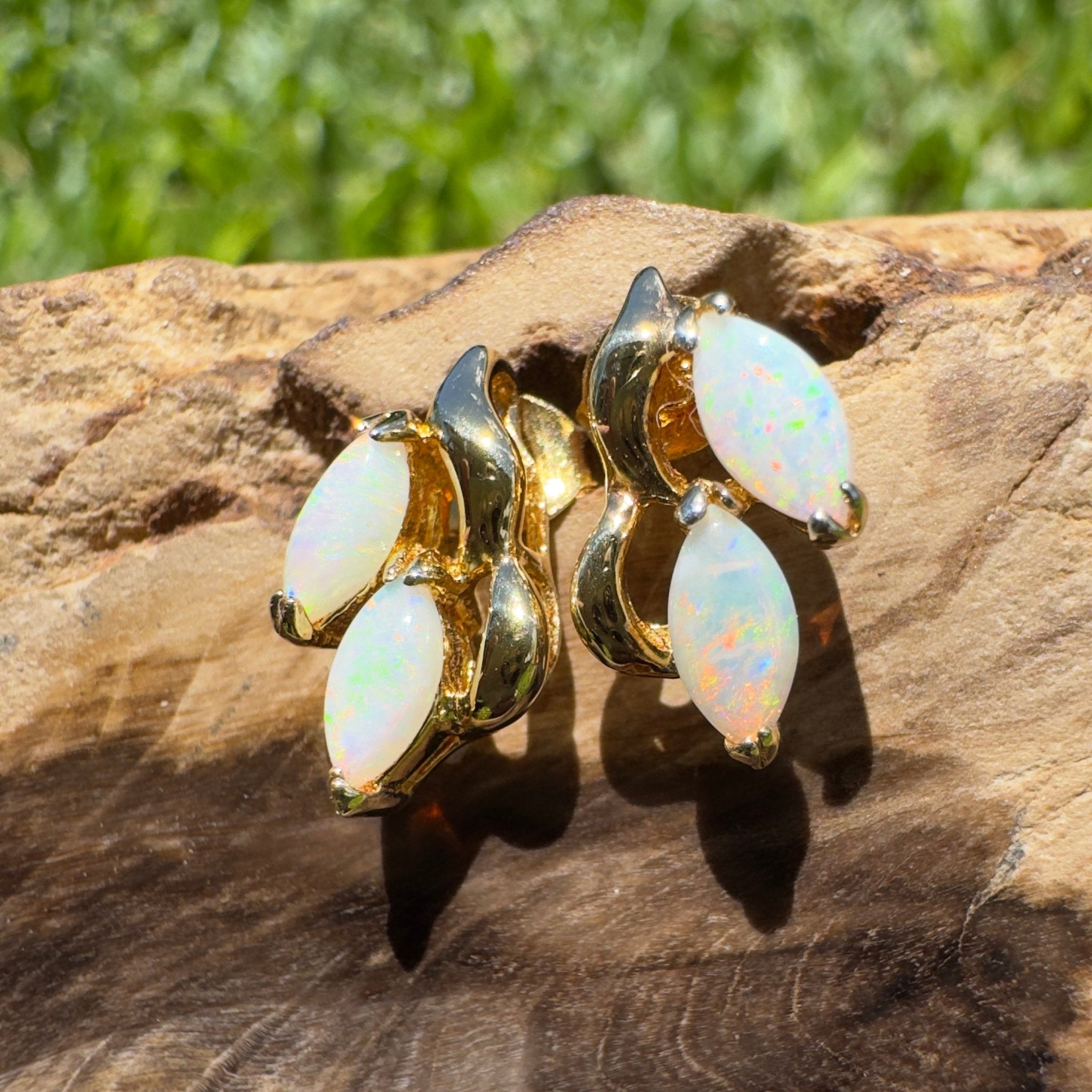 Cape York Wild Flowers ~ 0.8ct Coober Pedy Opal Yellow Gold Coated Sterling Silver Earrings