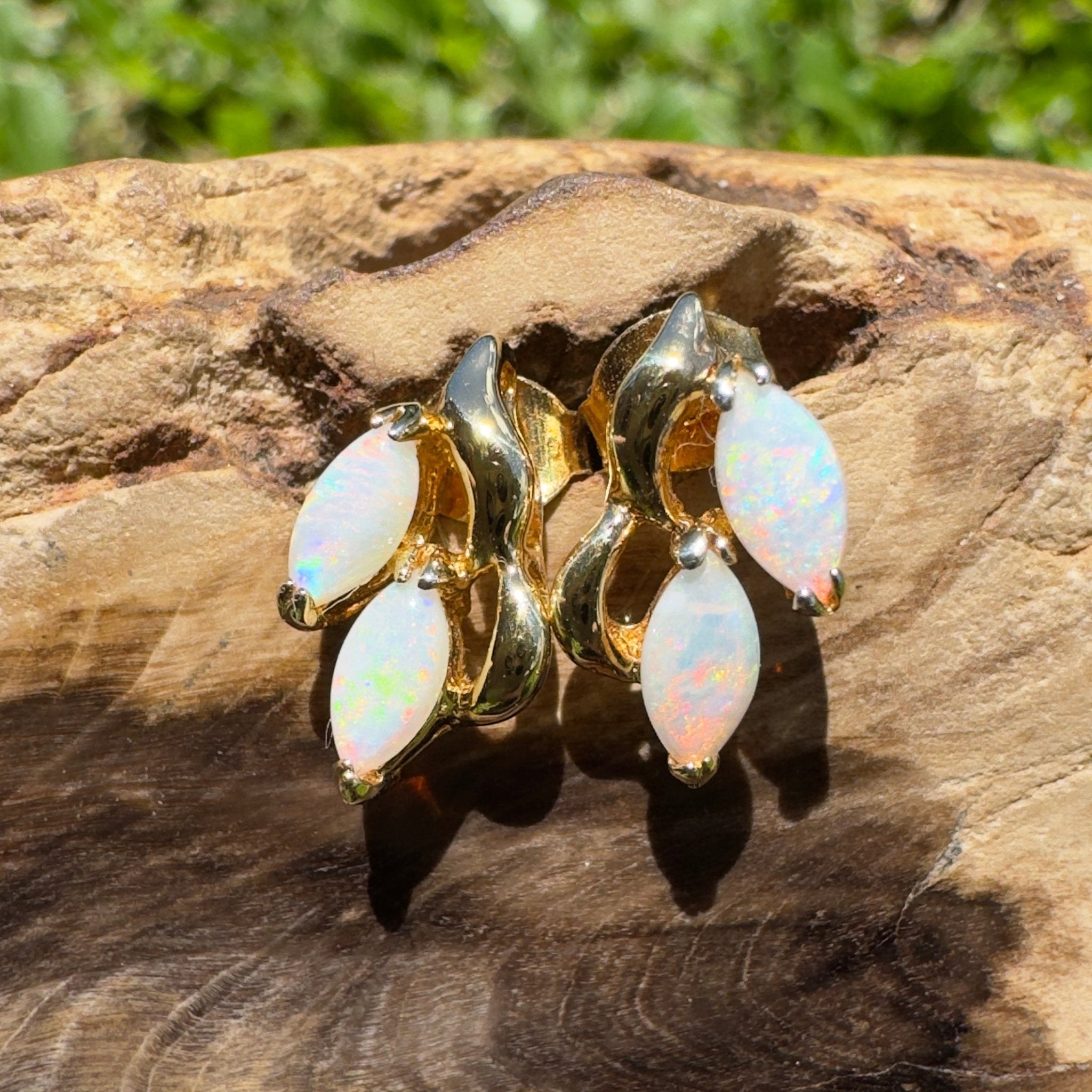 Cape York Wild Flowers ~ 0.8ct Coober Pedy Opal Yellow Gold Coated Sterling Silver Earrings