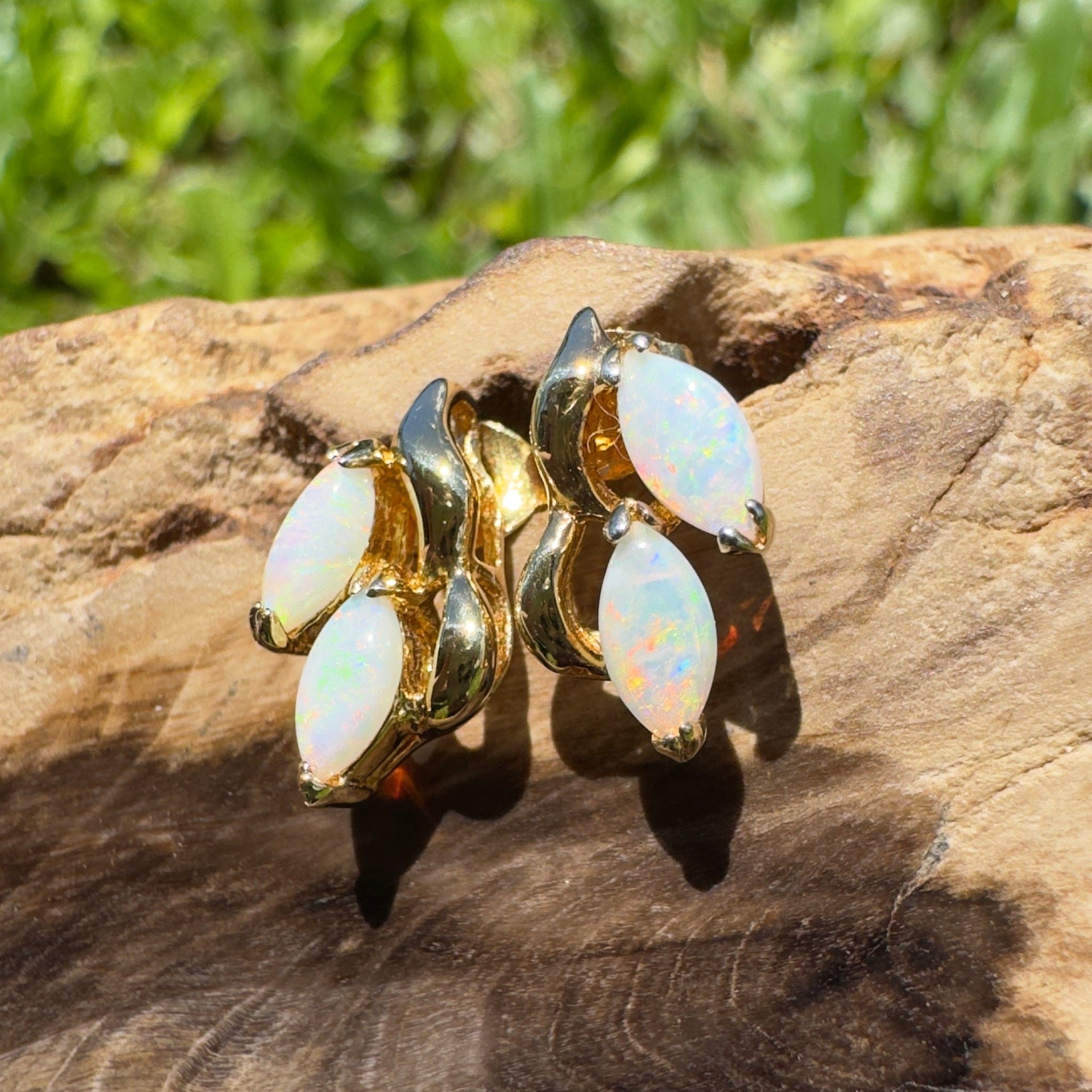 Cape York Wild Flowers ~ 0.8ct Coober Pedy Opal Yellow Gold Coated Sterling Silver Earrings