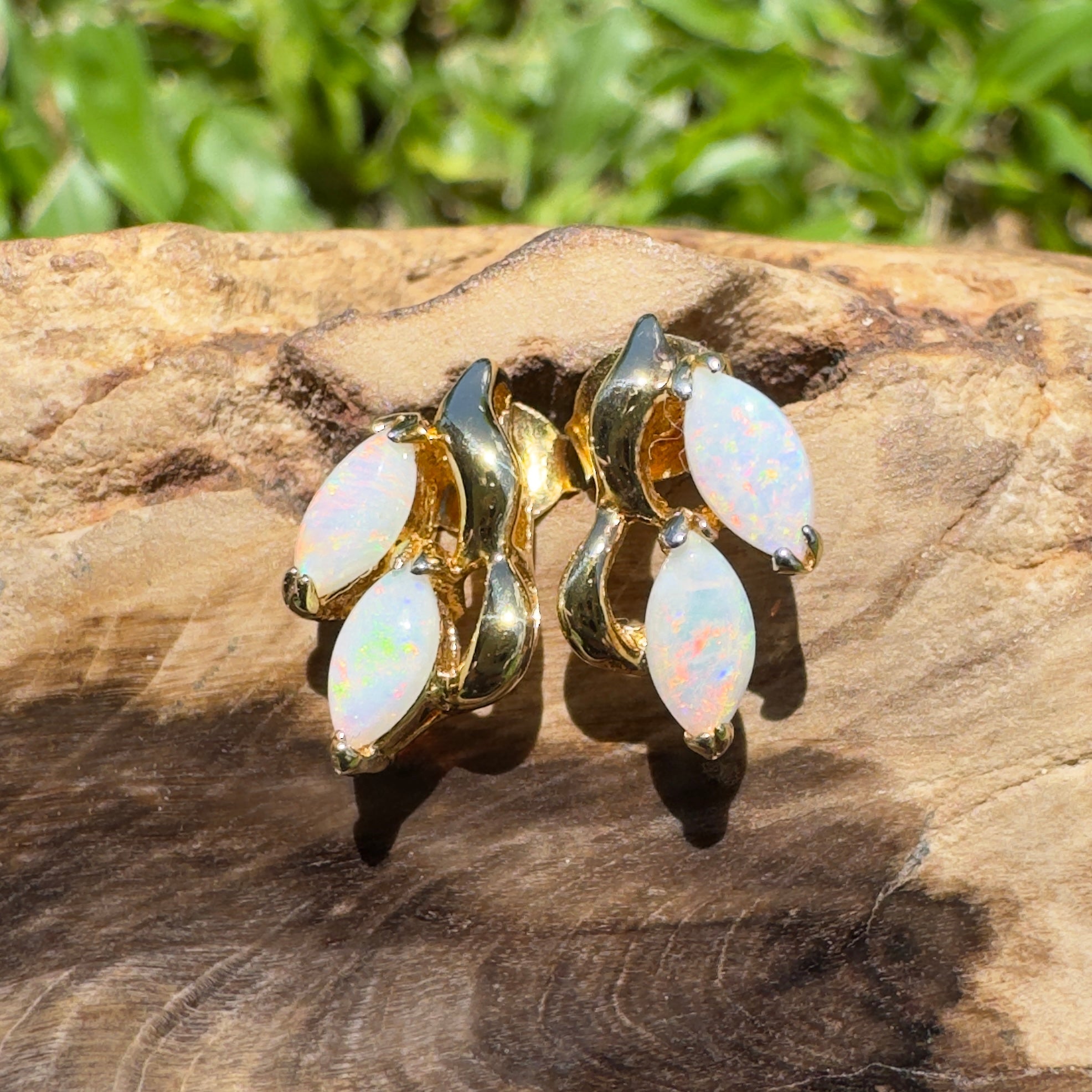 Cape York Wild Flowers ~ 0.8ct Coober Pedy Opal Yellow Gold Coated Sterling Silver Earrings