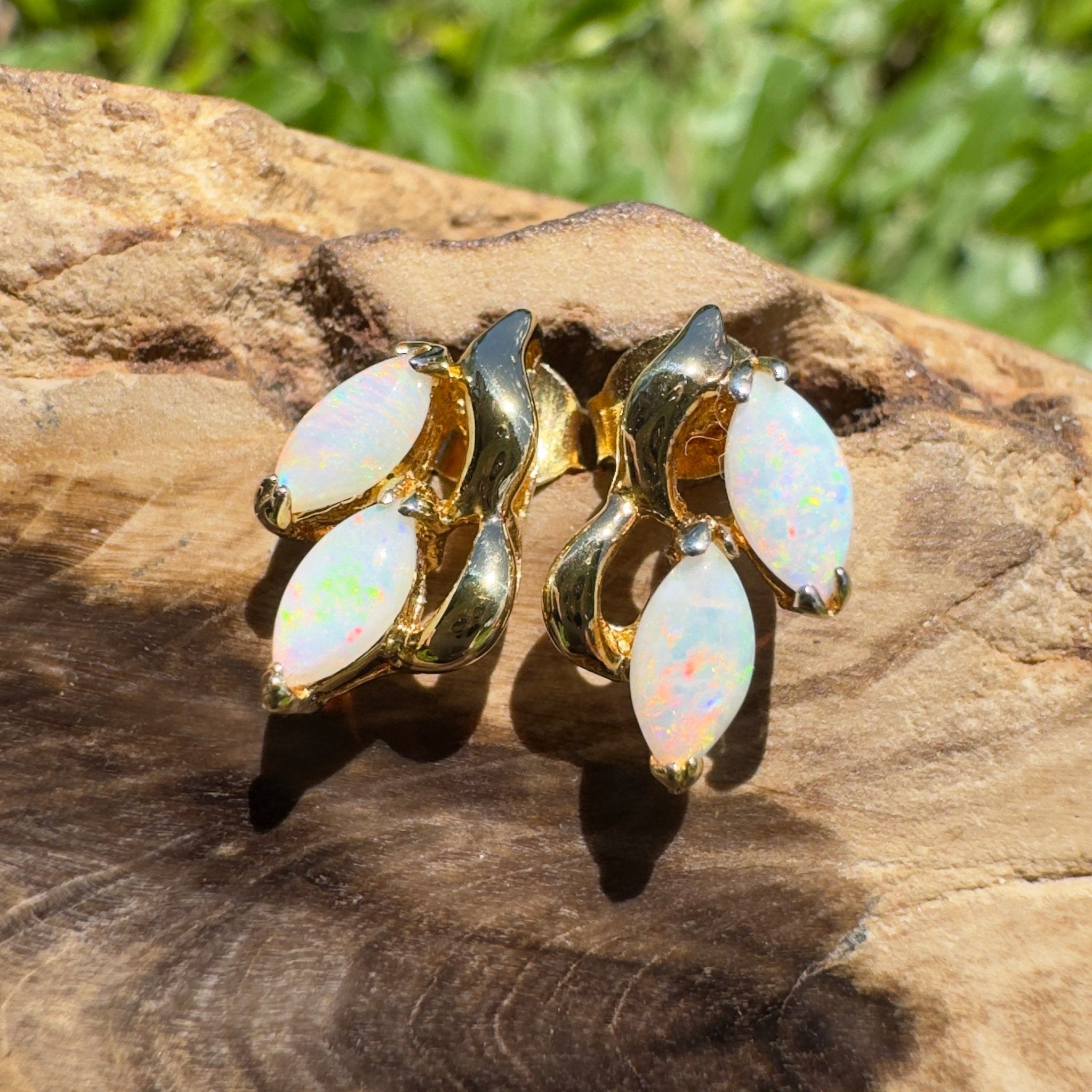 Cape York Wild Flowers ~ 0.8ct Coober Pedy Opal Yellow Gold Coated Sterling Silver Earrings