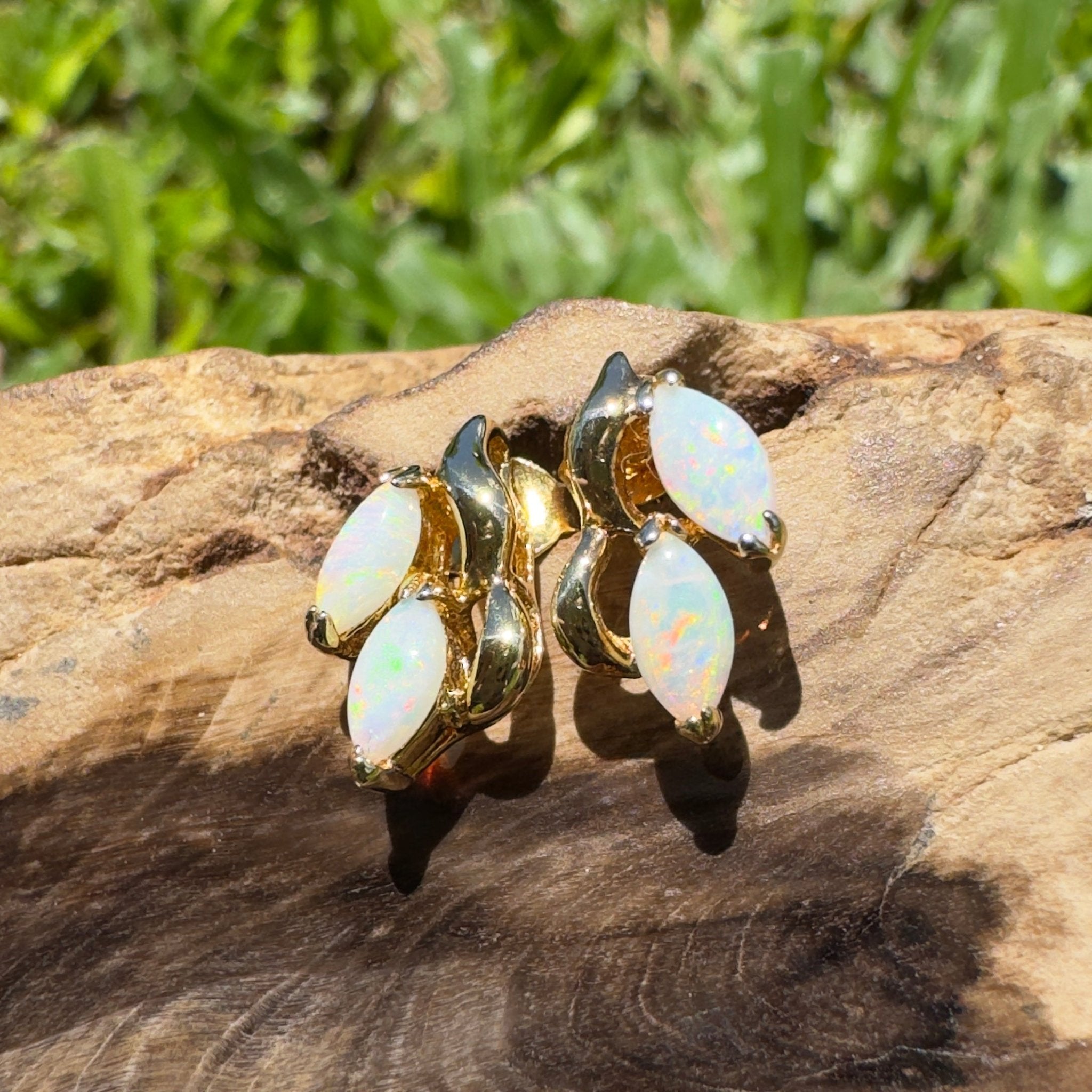 Cape York Wild Flowers ~ 0.8ct Coober Pedy Opal Yellow Gold Coated Sterling Silver Earrings