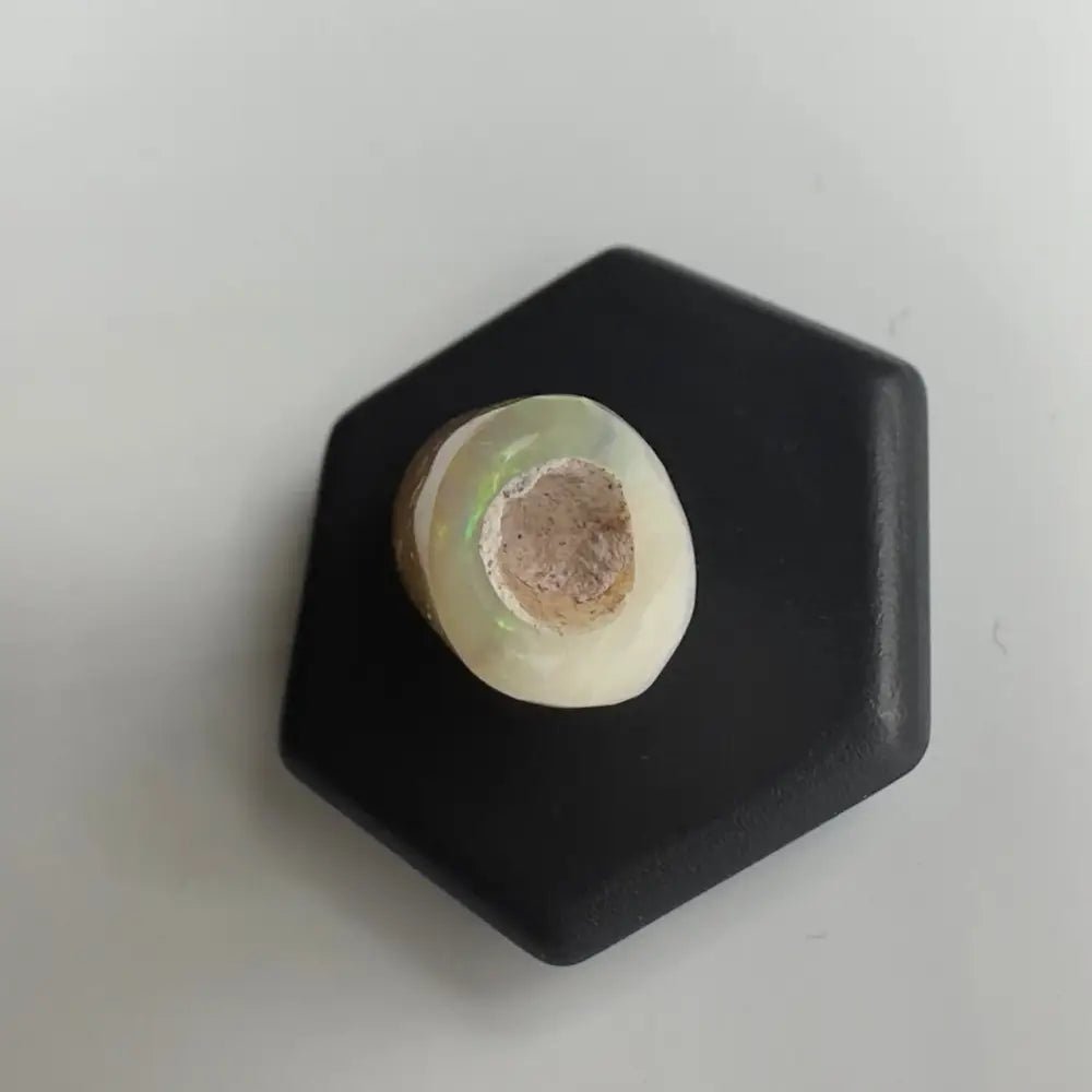 Coober Pedy Belemnite Opal (Fossil Opal Squid) 8.9carat Solid Hand - Cut