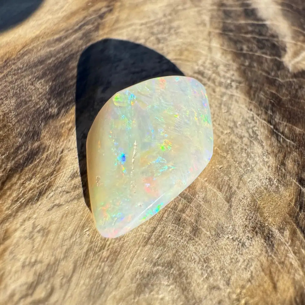 Iridescent opal gemstone from Coober Pedy Belemnite Opal fossilized squid collection